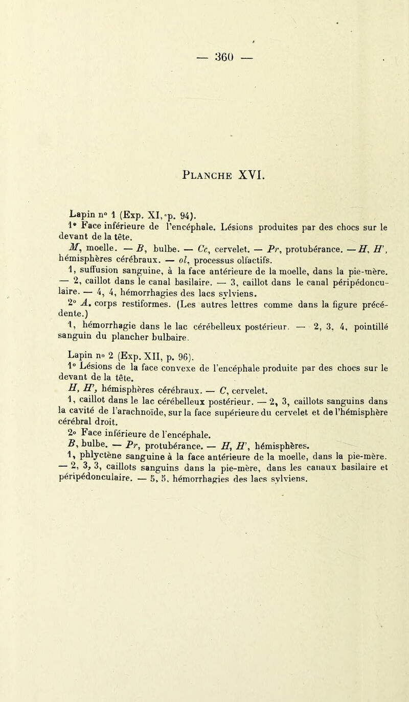 — 360 Planche XYI. Lapin n° 1 (Exp. XI,-p. 94). 1“ Face inférieure de l’encéphale. Lésions produites par des chocs sur le devant de la tête. ilf, moelle. — B, bulbe. — Ce, cervelet. — Pr, protubérance. —H. H’, hémisphères cérébraux. — ol. processus olfactifs. 1, suliusion sanguine, à la face antérieure de la moelle, dans la pie-mère. — 2, caillot dans le canal basilaire. — 3, caillot dans le canal péripédoncu- laire. — 4, 4, hémorrhagies des lacs svlviens. 2° A, corps restiformes. (Les autres lettres comme dans la figure précé- dente.) 1, hémorrhagie dans le lac cérébelleux postérieur. — 2, 3, 4, pointillé sanguin du plancher bulbaire. Lapin n- 2 (Exp. XII, p. 96). 1° Lésions de la face convexe de l’encéphale produite par des chocs sur le devant de la tête. H, IP, hémisphères cérébraux. — C, cervelet. I, caillot dans le lac cérébelleux postérieur. — 2, 3, caillots sanguins dans la cavité de 1 arachnoïde, sur la face supérieure du cervelet et de l’hémisphère cérébral droit. 2» Face inférieure de l'encéphale. B, bulbe. — Pr, protubérance. — H, H , hémisphères. L phlyctène sanguine à la face antérieure de la moelle, dans la pie-mère. 2, 3, 3, caillots sanguins dans la pie-mère, dans les canaux basilaire et