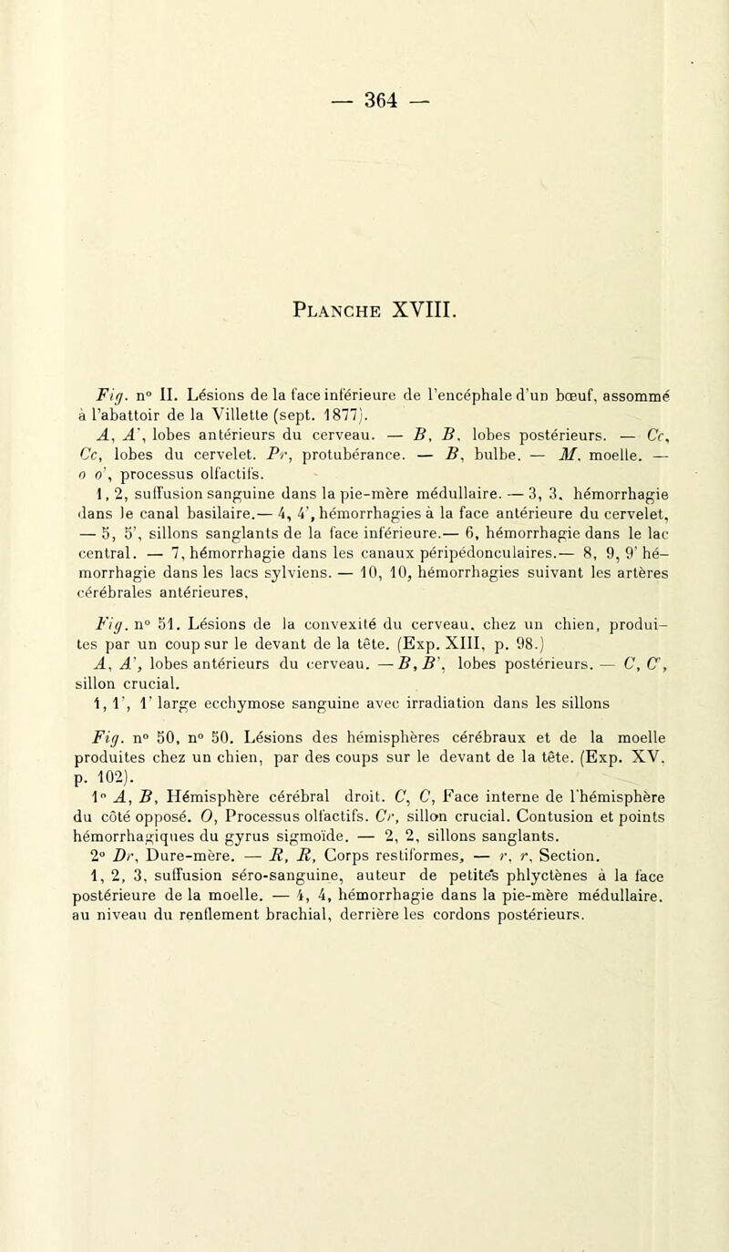 — 364 — Planche XVIII. Fig. n° II. Lésions de la face inférieure de l’encéphale d'un bœuf, assommé à l’abattoir de la Villette (sept. 1877). A, A', lobes antérieurs du cerveau. — B. B. lobes postérieurs. — Cf, Ce, lobes du cervelet. Pr, protubérance. — B, bulbe. — M. moelle. — n o\ processus olfactifs. 1,2, suffusion sanguine dans la pie-mère médullaire. — 3,3. hémorrhagie dans le canal basilaire.— 4, 4’, hémorrhagies à la face antérieure du cervelet, — 5, 5’, sillons sanglants de la face inférieure.— 6, hémorrhagie dans le lac- central. — 7, hémorrhagie dans les canaux péripédonculaires.— 8, 9, 9'hé- morrhagie dans les lacs sylviens. — 10, 10, hémorrhagies suivant les artères cérébrales antérieures. Fig. n° 51. Lésions de la convexité du cerveau, chez un chien, produi- tes par un coup sur le devant de la tête. (Exp. XIII, p. 98.) A, A', lobes antérieurs du cerveau. —B,B\ lobes postérieurs. — C, C', sillon crucial. 1,1’, 1’ large ecchymose sanguine avec irradiation dans les sillons Fig. n° 50, n° 50. Lésions des hémisphères cérébraux et de la moelle produites chez un chien, par des coups sur le devant de la tête. (Exp. XV. p. 102). 1° A, B, Hémisphère cérébral droit. C, C, Face interne de l'hémisphère du côté opposé. O, Processus olfactifs. Cr, sillon crucial. Contusion et points hémorrhagiques du gyrus sigmoïde. — 2, 2, sillons sanglants. 2° Dr, Dure-mère. — R, R, Corps restiformes, — r, r. Section. 1,2, 3, suffusion séro-sanguine, auteur de petite's phlyctènes à la face postérieure de la moelle. — 4, 4, hémorrhagie dans la pie-mère médullaire, au niveau du renflement brachial, derrière les cordons postérieurs.