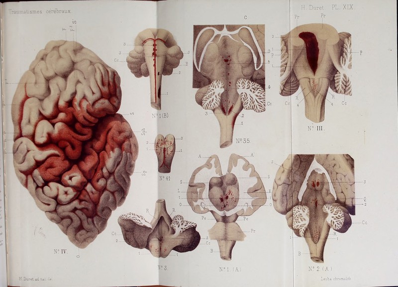 [° 3. n X)u.r6t â.c r.a. 6* N°l. (AI N° 2 (A) Lent a chromolith.