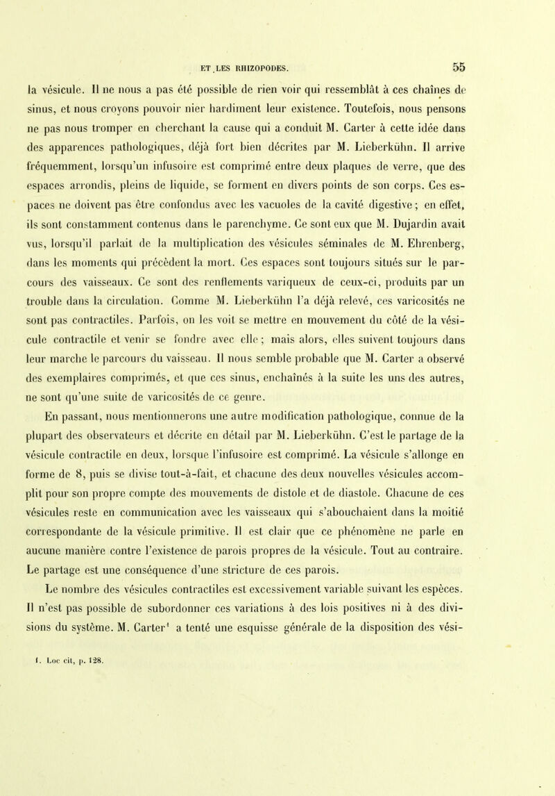 la vésicule. Il ne nous a pas été possible de rien voir qui ressemblât à ces chaînes de sinus, et nous croyons pouvoir nier hardiment leur existence. Toutefois, nous pensons 11e pas nous tromper en cherchant la cause qui a conduit M. Carter à cette idée dans des apparences pathologiques, déjà fort bien décrites par M. Lieberkühn. Il arrive fréquemment, lorsqu’un infusoire est comprimé entre deux plaques de verre, que des espaces arrondis, pleins de liquide, se forment en divers points de son corps. Ces es- paces ne doivent pas être confondus avec les vacuoles de la cavité digestive; en effet, ils sont constamment contenus dans le parenchyme. Ce sont eux que M. Dujardin avait vus, lorsqu’il parlait de la multiplication des vésicules séminales de M. Ehrenberg, dans les moments qui précèdent la mort. Ces espaces sont toujours situés sur le par- cours des vaisseaux. Ce sont des renflements variqueux de ceux-ci, produits par un trouble dans la circulation. Comme M. Lieberkühn l’a déjà relevé, ces varicosités ne sont pas contractiles. Parfois, on les voit se mettre en mouvement du côté de la vési- cule contractile et venir se fondre avec elle ; mais alors, elles suivent toujours dans leur marche le parcours du vaisseau. Il nous semble probable que M. Carter a observé des exemplaires comprimés, et que ces sinus, enchaînés à la suite les uns des autres, ne sont qu’une suite de varicosités de ce genre. En passant, nous mentionnerons une autre modification pathologique, connue de la plupart des observateurs et décrite en détail par M. Lieberkühn. C’est le partage de la vésicule contractile en deux, lorsque l’infusoire est comprimé. La vésicule s’allonge en forme de 8, puis se divise tout-à-fait, et chacune des deux nouvelles vésicules accom- plit pour son propre compte des mouvements de distole et de diastole. Chacune de ces vésicules reste en communication avec les vaisseaux qui s’abouchaient dans la moitié correspondante de la vésicule primitive. Il est clair que ce phénomène 11e parle en aucune manière contre l’existence de parois propres de la vésicule. Tout au contraire. Le partage est une conséquence d’une stricture de ces parois. Le nombre des vésicules contractiles est excessivement variable suivant les espèces. Il n’est pas possible de subordonner ces variations à des lois positives ni à des divi- sions du système. M. Carter1 a tenté une esquisse générale de la disposition des vési-