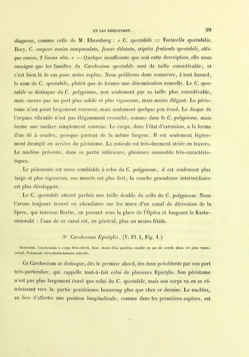 diagnose, comme celle de M. Ehrenberg : « C. spectabile = Vorticella spcctabilis. Bory, C. corpore conico campanulato, fronte dilatata, stipitis fruticulo spectabili, obli- que conico, 2 lineas alto. » — Quelque insuffisante que soit cette description, elle nous enseigne que les familles du Carchesium spectabile sont de taille considérable ; et c’est bien là le cas pour notre espèce. Nous préférons donc conserver, à tout hasard, le nom de C. spectabile, plutôt que de former une dénomination nouvelle. Le C. spec- tabile se distingue du C. polypinum, non seulement par sa taille plus considérable, mais encore par un port plus solide et plus vigoureux, mais moins élégant. Le péris- tome n’est point largement renversé, mais seulement quelque peu évasé. Le disque de l’organe vibratile n’est pas élégamment recourbé, comme dans le C. polypinum, mais forme une surface simplement convexe. Le corps, dans l’état d’extension, a la forme d’un dé à coudre, presque partout de la même largeur. Il est seulement légère- ment étranglé en arrière du péristome. La cuticule est très-finement striée en travers. Le nucléus présente, dans sa partie inférieure, plusieurs sinuosités très-caractéris- tiques. Le pédoncule est assez semblable à celui du C. polypinum; il est seulement plus large et plus vigoureux, son muscle est plus fort; la couche granuleuse intermédiaire est plus développée. Le C. spectabile atteint parfois une taille double de celle du C. polypinum. Nous l’avons toujours trouvé en abondance sur les murs d’un canal de dérivation de la Spree, qui traverse Berlin, en passant sous la place de l’Opéra et longeant le Kasta- nienwald : l’eau de ce canal est, en général, plus ou moins fétide. 3° Carchesium Epistylis. (Y. PLI, Fig. 1.) Diagnose. Carchesium à corps très-étroit, lisse, muni d’un nucléus courbé en arc de cercle dans un plan trans- versal. Pédoncule très-distinctement articulé. Ce Carchesium se distingue, dès le premier abord, des deux précédents par son port très-particulier, qui rappelle tout-à-fait celui de plusieurs Epistylis. Son péristome n’est pas plus largement évasé que celui du C. spectabile, mais son corps va en se ré- trécissant vers la partie postérieure beaucoup plus que chez ce dernier. Le nucléus, au lieu d’affecter une position longitudinale, comme dans les premières espèces, est