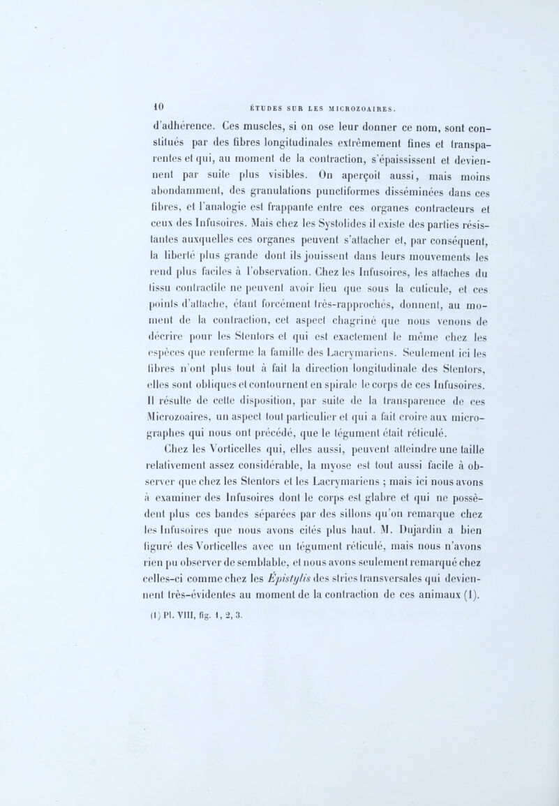 d’adhérence. Ces muscles, si on ose leur donner ce nom, sont con- stitués par des fibres longitudinales extrêmement fines et transpa- rentes et qui, au moment de la contraction, s’épaississent et devien- nent par suite plus visibles. On aperçoit aussi, mais moins abondamment, des granulations punctiformes disséminées dans ces fibres, et l’analogie est frappante entre ces organes contracteurs et ceux des Infusoires. Mais chez les Systolides il existe des parties résis- tantes auxquelles ces organes peuvent s’attacher et, par conséquent, la liberté plus grande dont ils jouissent dans leurs mouvements les rend plus faciles à l’observation. Chez les Infusoires, les attaches du tissu contractile ne peuvent avoir lieu que sous la cuticule, et ces points d’attache, étant forcément très-rapprochés, donnent, au mo- ment de la contraction, cet aspect chagriné que nous venons de décrire pour les Stentors et qui est exactement le même chez les espèces que renferme la famille des Lacrymariens. Seulement ici les fibres n’ont plus tout à fait la direction longitudinale des Stentors, elles sont obliques et contournent en spirale le corps de ces Infusoires. Il résulte de cette disposition, par suite de la transparence de ces Microzoaires, un aspect tout particulier et qui a fait croire aux micro- graphes qui nous ont précédé, que le tégument était réticulé. Chez les Vorticelles qui, elles aussi, peuvent atteindre une taille relativement assez considérable, la mvose est tout aussi facile à ob- server que chez les Stentors et les Lacrymariens ; mais ici nous avons à examiner des Infusoires dont le corps est glabre et qui ne possè- dent plus ces bandes séparées par des sillons qu’on remarque chez les Infusoires que nous avons cités plus haut. M. Dujardin a bien figuré des Vorticelles avec un tégument réticulé, mais nous n’avons rien pu observer de semblable, et nous avons seulement remarqué chez celles-ci comme chez les Epistylis des stries transversales qui devien- nent très-évidentes au moment de la contraction de ces animaux (1).