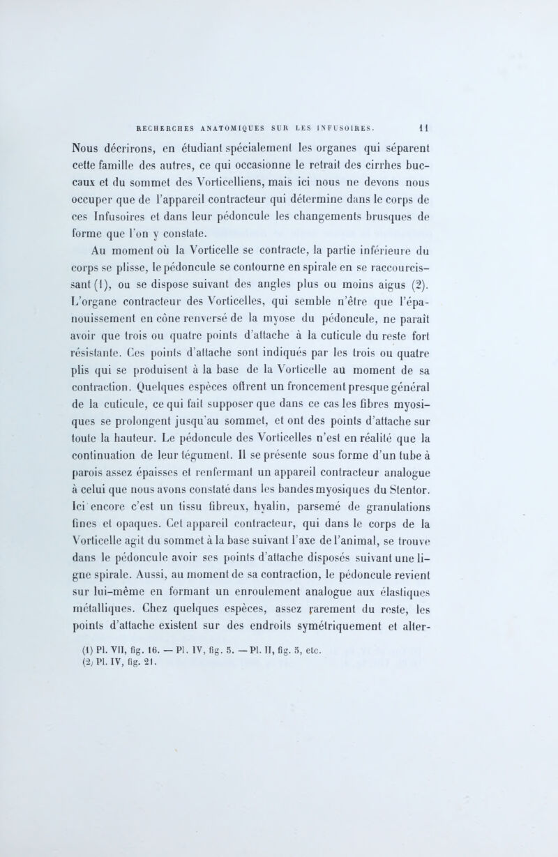 Nous décrirons, en étudiant spécialement les organes qui séparent cette famille des autres, ce qui occasionne le retrait des cirrhes buc- caux et du sommet des Vorticelliens, mais ici nous ne devons nous occuper que de l’appareil contracteur qui détermine dans le corps de ces Infusoires et dans leur pédoncule les changements brusques de forme que l'on y constate. Au moment où la Vorticelle se contracte, la partie inférieure du corps se plisse, le pédoncule se contourne en spirale en se raccourcis- sant (1), ou se dispose suivant des angles plus ou moins aigus (2). L’organe contracteur des Vorticelles, qui semble n’être que l’épa- nouissement en cône renversé de la myose du pédoncule, ne paraît avoir que trois ou quatre points d’attache à la cuticule du reste fort résistante. Ces points d'attache sont indiqués par les trois ou quatre plis qui se produisent à la base de la Vorticelle aü moment de sa contraction. Quelques espèces offrent un froncement presque général de la cuticule, ce qui fait supposer que dans ce cas les fibres myosi- ques se prolongent jusqu'au sommet, et ont des points d’attache sur toute la hauteur. Le pédoncule des Vorticelles n’est en réalité que la continuation de leur tégument. Il se présente sous forme d’un tube à parois assez épaisses et renfermant un appareil contracteur analogue à celui que nous avons constaté dans les bandes myosiques du Stentor. Ici encore c’est un tissu fibreux, hyalin, parsemé de granulations fines et opaques. Cet appareil contracteur, qui dans le corps de la Vorticelle agit du sommet à la base suivant l'axe de l’animal, se trouve dans le pédoncule avoir ses points d'attache disposés suivant une li- gne spirale. Aussi, au moment de sa contraction, le pédoncule revient sur lui-même en formant un enroulement analogue aux élastiques métalliques. Chez quelques espèces, assez rarement du reste, les points d’attache existent sur des endroits symétriquement et alter- (1) PI. VII, fig. 16. — PI. IV, fig. 5. — PI. Il, fig. 5, etc. (2; PI. IV, fig. 21.