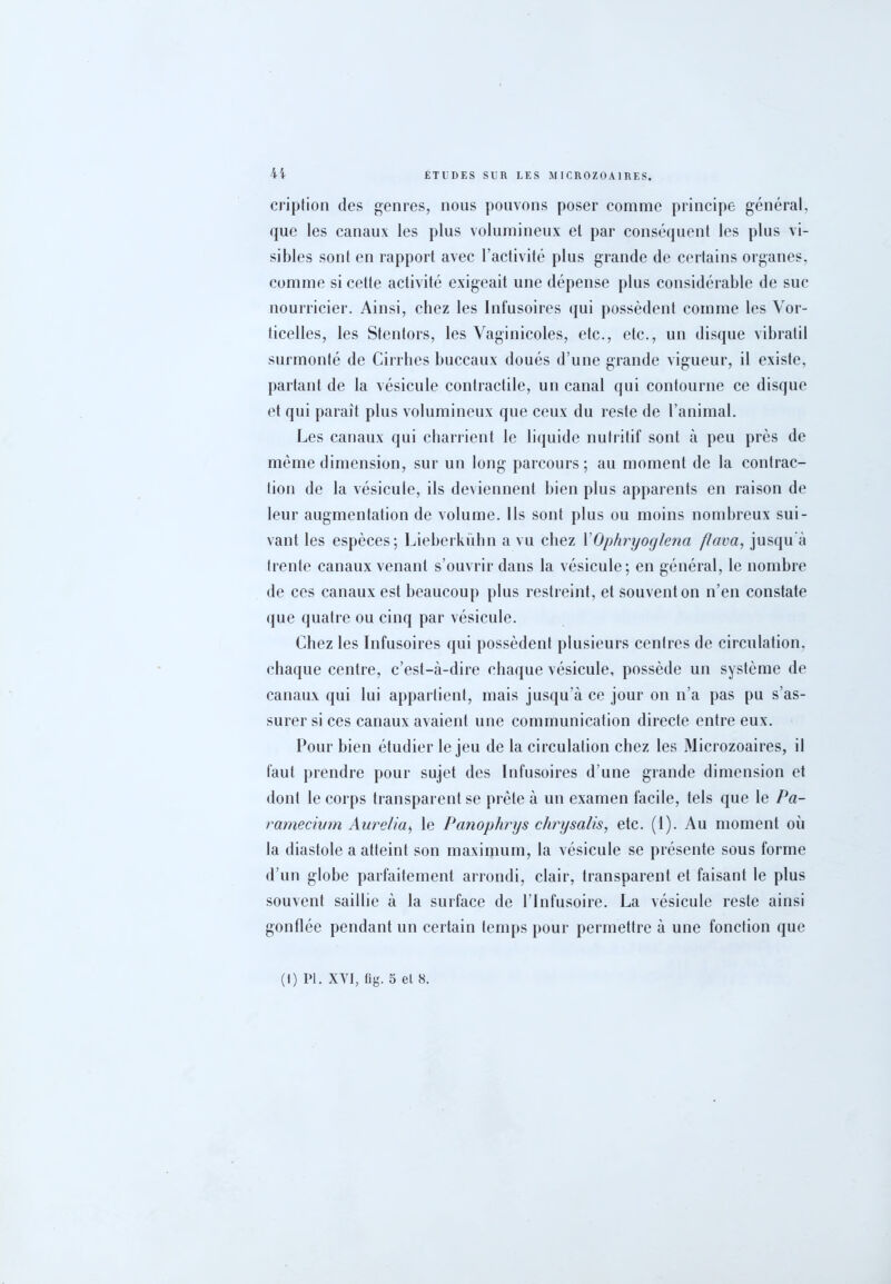 cription des genres, nous pouvons poser comme principe général, que les canaux les plus volumineux el par conséquent les plus vi- sibles sont en rapport avec l’activité plus grande de certains organes, comme si cette activité exigeait une dépense plus considérable de suc nourricier. Ainsi, chez les Infusoires qui possèdent comme les Vor- ticelles, les Stentors, les Vaginicoles, etc., etc., un disque vibralil surmonté de Cirrhes buccaux doués d’une grande vigueur, il existe, partant de la vésicule contractile, un canal qui contourne ce disque et qui paraît plus volumineux que ceux du reste de l’animal. Les canaux qui charrient le liquide nutritif sont à peu près de même dimension, sur un long parcours; au moment de la contrac- tion de la vésicule, ils deviennent bien plus apparents en raison de leur augmentation de volume. Ils sont plus ou moins nombreux sui- vant les espèces; Lieberkühn a vu chez X Ophryoylena /lava, jusqu'à trente canaux venant s’ouvrir dans la vésicule; en général, le nombre de ces canaux est beaucoup plus restreint, et souvent on n’en constate que quatre ou cinq par vésicule. Chez les Infusoires qui possèdent plusieurs centres de circulation, chaque centre, c’est-à-dire chaque vésicule, possède un système de canaux qui lui appartient, mais jusqu'à ce jour on n’a pas pu s’as- surer si ces canaux avaient une communication directe entre eux. Pour bien étudier le jeu de la circulation chez les Microzoaires, il faut prendre pour sujet des Infusoires d’une grande dimension et dont le corps transparent se prête à un examen facile, tels que le Pa- ramecium Aurélia, le Panophrys chrysalis, etc. (1). Au moment où la diastole a atteint son maximum, la vésicule se présente sous forme d’un globe parfaitement arrondi, clair, transparent et faisant le plus souvent saillie à la surface de l’Infusoire. La vésicule reste ainsi gonflée pendant un certain temps pour permettre à une fonction que