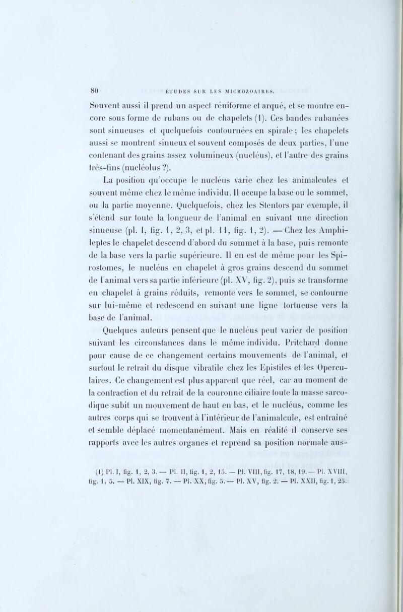 Souvent aussi il prend un aspect réniforme et arqué, et se montre en- core sous forme de rubans ou de chapelets (1). Ces bandes rubanées sont sinueuses et quelquefois contournées en spirale; les chapelets aussi se montrent sinueux et souvent composés de deux parties, l’une contenant des grains assez volumineux (nucléus), et l’autre des grains très-fins (nucléolus ?). La position qu’occupe le nucléus varie chez les animalcules et souvent même chez le même individu. 11 occupe la base ou le sommet, ou la partie moyenne. Quelquefois, chez les Stentors par exemple, il s’étend sur toute la longueur de l’animal en suivant une direction sinueuse (pl. 1, fig. 1, 2, 3, et pl. 11, fig. 1, 2). — Chez les Amphi- leptes le chapelet descend d’abord du sommet à la base, puis remonte de la base vers la partie supérieure. Il en est de même pour les Spi- rostomes, le nucléus en chapelet à gros grains descend du sommet de 1 animal vers sa partie inférieure (pl. XV, fig. 2), puis se transforme en chapelet à grains réduits, remonte vers le sommet, se contourne sur lui-même et redescend en suivant une ligne tortueuse vers la base de l’anirnal. Quelques auteurs pensent que le nucléus peut varier de position suivant les circonstances dans le même individu. Pritchard donne pour cause de ce changement certains mouvements de l’animal, et surtout le retrait du disque vibratile chez les Epistiles et les Opercu- laires. Ce changement est plus apparent que réel, car au moment de la contraction et du retrait de la couronne ciliaire toute la niasse sarco- dique subit un mouvement de haut en bas, et le nucléus, comme les autres corps qui se trouvent à l’intérieur de l’animalcule, est entraîné et semble déplacé momentanément. Mais en réalité il conserve ses rapports avec les autres organes et reprend sa position normale aus- (1) Pl. I, llg. 1, 2, 3.— Pl. Il, lig. 1, 2, 15. — Pl. VIII, fig. 17, 18, 19.— Pl. XVlIl, fig. 1,5.— Pl. XIX, lig. 7. — Pl. XX, fig. 5. — Pl. XV, fig. 2. — Pl. XXII, fig. 1, 25.