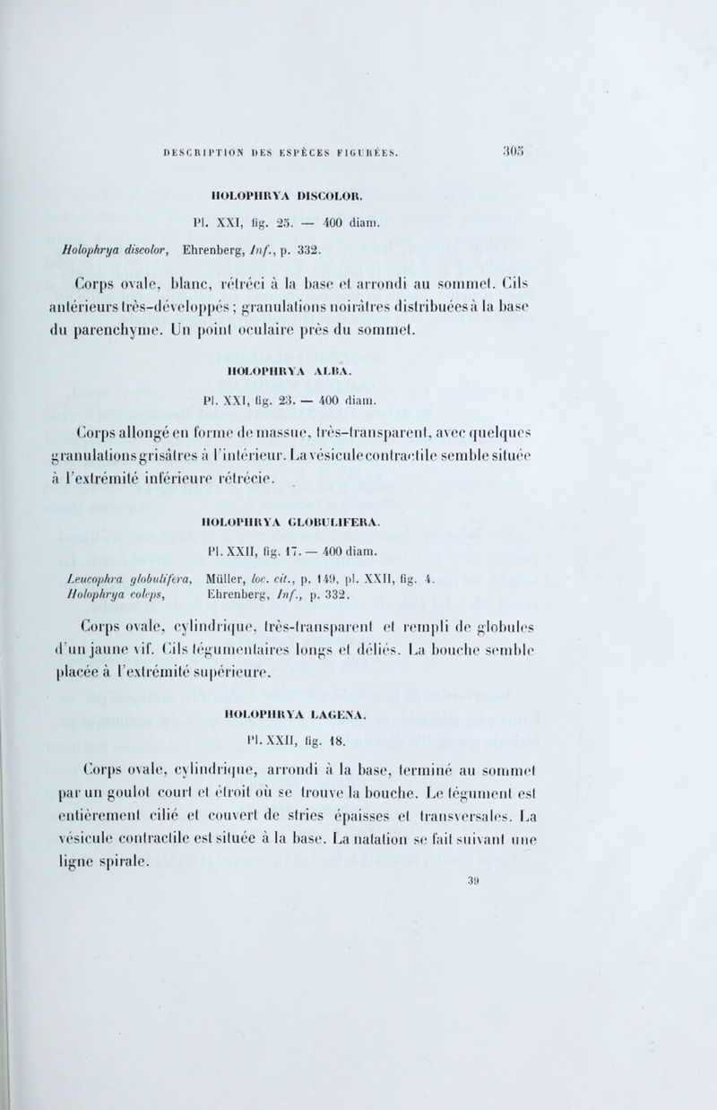 HOLOPHRYA DISCOLOR. PI. XXI, fig. 25. — 400 diam. Holophrya discolor, Ehrenberg, Jnf., p. 332. Corps ovale, blanc, rétréci à la base et arrondi au sommet. Cils antérieurs très-développés ; granulations noirâtres distribuéesà la base du parenchyme. Un point oculaire près du sommet. HOLOPHRYA ALBA. PI. XXI, (ig. 23. — 400 diam. Corps allongé en forme de massue, très-transparent, avec quelques granulations grisâtres à l'intérieur. Lavésiculecontraetile semble située à l'extrémité inférieure rétrécie. HOLOPHRYA GLOBULIFERA. PI. XXII, fig. 17. — 400 diam. Leucophra globulifera, Millier, loc. cit., p. 149, pl. XXII, fig. 4. Holophrya coleps, Ehrenberg, lnf., p. 332. Corps ovale, cylindrique, très-transparent et rempli de globules d’un jaune vif. Cils légumentaires longs et déliés. La bouche semble placée à l’extrémité supérieure. HOLOPHRYA LAGEXA. IM. XXII, fig. 18. Corps ovale, cylindrique, arrondi à la base, terminé au sommet par un goulot court et étroit où se trouve la bouche. Le tégument est entièrement cilié et couvert de stries épaisses et transversales. La vésicule contractile est située à la base. La natation se fait suivant une ligne spirale. 39