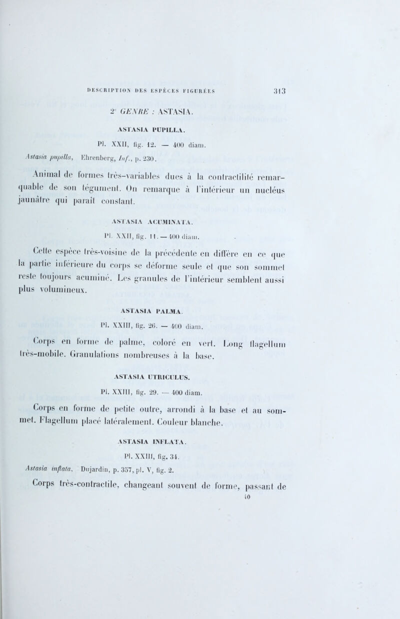 21' GEN UE : ASTASIA. ASTASIA PUPILLA. Pi. XXII, fig. 12. — 400 diam. Astasia pupilla, Ehrenberg, Jnf., p. 230. Animal de formes très-variables dues à la contractilité remar- quable de son tégument. Un remarque à I intérieur un nucléus jaunâtre qui paraît constant. A ST AS IA A < ; U»1 INA TA. PI. XXII, fig. H.—400 diam. Celte espèce très-voisine de la précédente en diffère en ce que la partie intérieure du corps se déforme seule et que son sommet leste toujours acuminé. Les granules de 1 intérieur semblent aussi plus volumineux. ASTASIA PALMA. LM. XXIII, fig. 26. — 400 diam. Corps en forme de palme, coloré en vert. Long flagellum très-mobile. Granulations nombreuses à la base. ASTASIA UTR1CULUS. PI. XXIII, fig. 29. — 400 diam. Corps en forme de petite outre, arrondi à la base et au som- met. Flagellum placé latéralement. Couleur blanche. ASTASIA INFLATA. PI. XXIII, fig. 34. Astasia inflata, Dujardin, p. 337, pl. V, fig. 2. Corps très-contractile, changeant souvent de forme, passant de 40