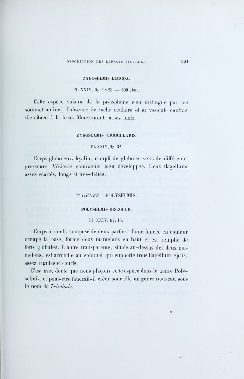 ZYGOSELMIS LEUCOA. PI. XXIY, fig. 22-23. — 400 diam. Cette espèce voisine de la précédente s’en distingue par son sommet aminci, l’absence de tache oculaire et sa vésicule contrac- tile située à la base. Mouvements assez lents. ZYGOSELMIS ORIMCULARIS. P1.XX1Y, fig. 32. i' Corps globuleux, hyalin, rempli de globules verts de différentes grosseurs. Vésicule contractile bien développée. Deux flagellums assez écartés, longs et très-déliés. 7e GENRE : POLYSELMIS. POLYSELMIS DISCOLOR. PI. XXIV, fig. 10. Corps arrondi, composé de deux parties : l’une foncée en couleur occupe la base, forme deux mamelons en haut et est remplie de forts globules. L’aulre transparente, située au-dessus des deux ma- melons, est arrondie au sommet qui supporte trois flagellum épais, assez rigides et courts. C’est avec doute que nous plaçons cette espèce dans le genre Poly- selmis, et peut-être faudrait-il créer pour elle un genre nouveau sous le nom de Triselmis. •il