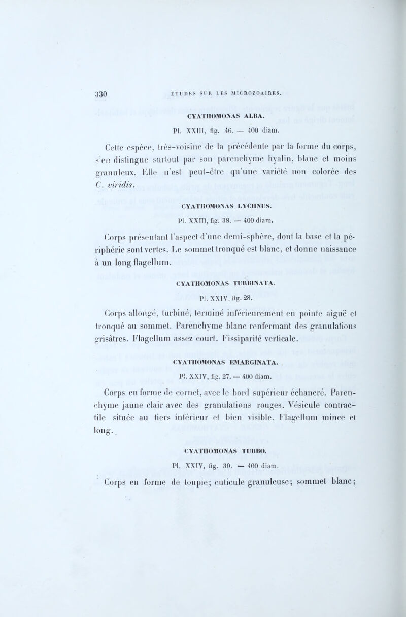 CYATHOMONAS ALBA. PI. XXIII, fig. 46. — 400 diam. Cetle espèce, très-voisine de la précédente par la forme du corps, s’en distingue surtout par son parenchyme hyalin, blanc et moins granuleux. Elle n’est peut-être qu’une variété non colorée des C. viridis. CYATHOMONAS LYCIINUS. PL XXIIT, fig. 38. — 400 diara. Corps présentant l’aspect d’une demi-sphère, dont la hase et la pé- riphérie sont vertes. Le sommet tronqué est blanc, et donne naissance à un long flagellum. CYATHOMONAS TURB1NATA, PI. XXIY, fig. 28. Corps allongé, turbiné, terminé inférieurement en pointe aiguë et tronqué au sommet. Parenchyme blanc renfermant des granulations grisâtres. Flagellum assez court. Fissiparité verticale. CYATIIOMONAS EMARGINATA. PI. XXIY, fig. 27. — 400 diam. Corps en forme de cornet, avec le bord supérieur échancré. Paren- chyme jaune clair avec des granulations rouges. Vésicule contrac- tile située au tiers inférieur et bien visible. Flagellum mince et long. CYATIIOMONAS TURBO. PI. XXIV, fig. 30. — 400 diam. Corps en forme de toupie; cuticule granuleuse; sommet blanc;