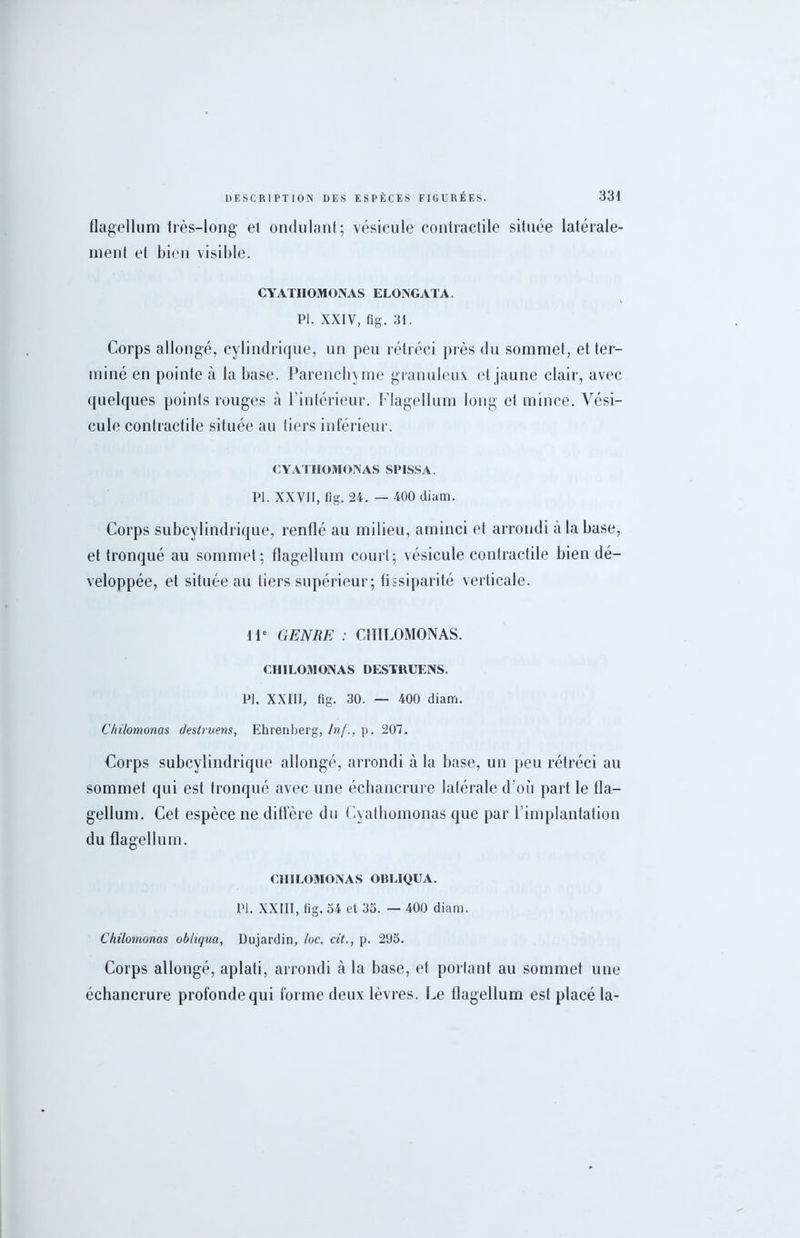 flagellum très-long et ondulant; vésicule contractile située latérale- ment et bien visible. CYATHOMONAS ELONGATA. PI. XXIV, fig. 31. Corps allongé, cylindrique, un peu rétréci près du sommet, et ter- miné en pointe à la base. Parenchyme granuleux et jaune clair, avec quelques points rouges à l’intérieur. Flagellum long et mince. Vési- cule contractile située au tiers inférieur. CYATIIOMOINAS SPISSA. PI. XXVII, fig. 24. — 400 diam. Corps subcylindrique, renflé au milieu, aminci et arrondi à la base, et tronqué au sommet; flagellum court; vésicule contractile bien dé- veloppée, et située au tiers supérieur; fissiparité verticale. 11e GENRE : CHILOMONAS. CHILOMONAS DESTRUENS. PI. XXIII, fig. 30. — 400 diam. Chilomonas destruens, Ehrenberg, Inf., p. 207. Corps subcylindrique allongé, arrondi à la base, un peu rétréci au sommet qui est tronqué avec une échancrure latérale d’où part le fla- gellum. Cet espèce ne diffère du Cyathomonas que par l’implantation du flagellum. CHILOMONAS OBLIQUA. PI. XXIII, fig. 54 et 35. — 400 diam. Chilomonas obliqua, Dujardin, loc. cit., p. 295. Corps allongé, aplati, arrondi à la base, et portant au sommet une échancrure profonde qui forme deux lèvres. Le flagellum est placé la-