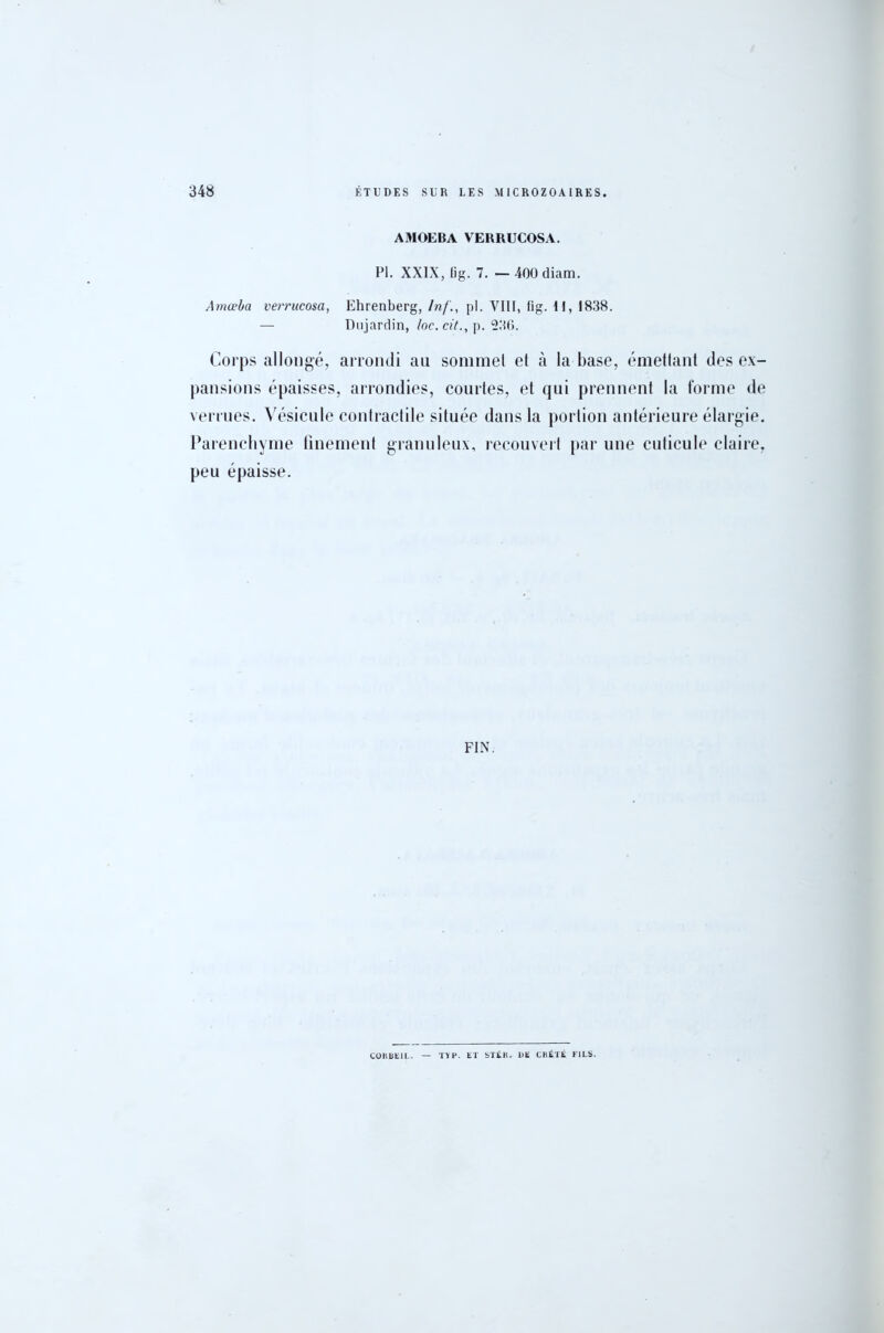 AMOEBA VEKRUCOSA. PI. XXIX, fig. 7. — 400 diam. Amœba verrucosa, Ehrenberg, /»/., pi. VIII, fig. II, 1838. — Dujardin, /oc. cit., p. 336. Corps allongé, arrondi au sommet et à la base, émettant des ex- pansions épaisses, arrondies, courtes, et qui prennent la forme de verrues. Vésicule contractile située dans la portion antérieure élargie. Parenchyme finement granuleux, recouvert par une cuticule claire, peu épaisse. FIN. CORBEIL. — TVP. ET STÉR. DE CRÉTÉ FILS.