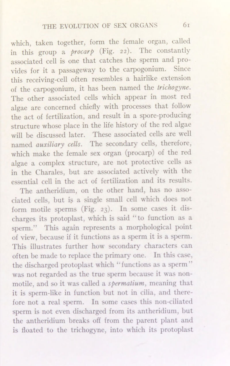 which, taken together, form the female organ, called in this group a procarp (Fig. 22). The constantly associated cell is one that catches the sperm and pro- vides for it a passageway to the carpogonium. Since this receiving-cell often resembles a hairlike extension of the carpogonium, it has been named the trichogyne. The other associated cells which appear in most red algae are concerned chiefly with processes that follow the act of fertilization, and result in a spore-producing structure whose place in the life histor>' of the red algae will be discussed later. These associated cells are well named auxiliary cells. The secondary cells, therefore, which make the female sex organ (procarp) of the red algae a complex structure, are not protective cells as in the Charales, but are associated actively with the essential cell in the act of fertilization and its results. The antheridium, on the other hand, has no asso- ciated cells, but if, a single small cell which does not form motile sperms (Fig. 23). In some cases it dis- charges its protoplast, which is said “to function as a sperm.” This again represents a morphological point of view, because if it functions as a sperm it is a sperm. This illustrates further how secondar>' characters can often be made to replace the primary one. In this case, the discharged protoplast which “functions as a sperm” was not regarded as the true sperm because it was non- motile, and so it was called a spcrmalium, meaning that it is sperm-like in function but not in cilia, and there- fore not a real sperm. In some cases this non-ciliated sperm is not even discharged from its antheridium, but the antheridium breaks ofl from the parent plant and is floated to the trichogyne, into which its protoplast