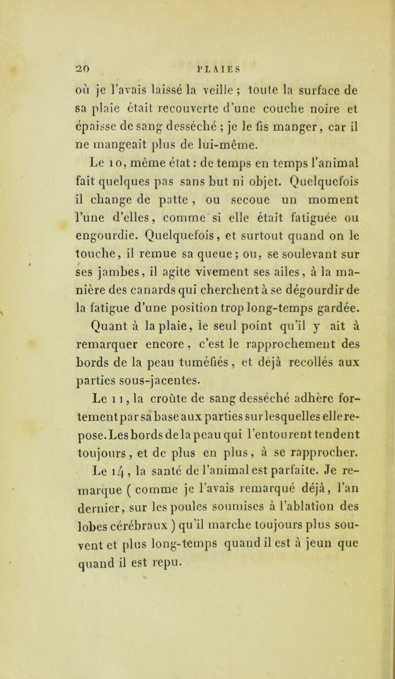 où je l’avais laissé la veille; toute la surface de sa plaie était recouverte d’une couche noire et épaisse de sang desséché ; je le fis manger, car il ne mangeait plus de lui-même. Le 1 o, même état : de temps en temps l’animal fait quelques pas sans but ni objet. Quelquefois il change de patte, ou secoue un moment l’une d’elles, comme si elle était fatiguée ou engourdie. Quelquefois, et surtout quand on le touche, il remue sa queue ; ou, se soulevant sur ses jambes, il agite vivement ses ailes, à la ma- nière des canards qui cherchent à se dégourdir de la fatigue d’une position trop long-temps gardée. Quant à la plaie, le seul point qu’il y ait à remarquer encore, c’est le rapprochement des bords de la peau tuméfiés, et déjà recollés aux parties sous-jacentes. Le 11, la croûte de sang desséché adhère for- tement par sa base aux parties sur lesquelles elle re- pose. Les bords de la peau qui l’entourent tendent toujours, et de plus en plus, à se rapprocher. Le 14 , La santé de l’animal est parfaite. Je re- marque ( comme je l’avais remarqué déjà, l’an dernier, sur les poules soumises à l’ablation des lobes cérébraux ) qu’il marche toujours plus sou- vent et plus long-temps quand il est à jeun que quand il est repu.