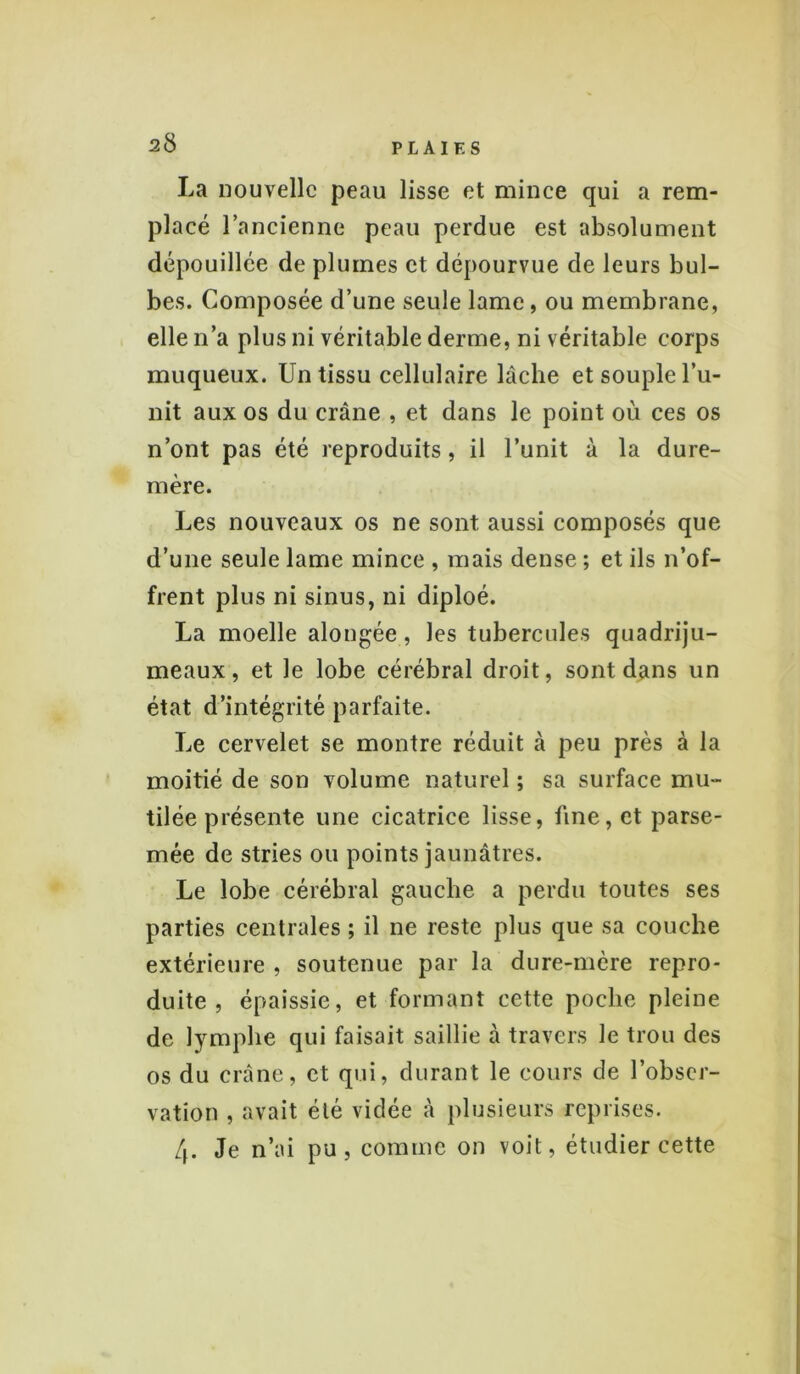 La nouvelle peau lisse et mince qui a rem- placé l’ancienne peau perdue est absolument dépouillée de plumes et dépourvue de leurs bul- bes. Composée d’une seule lame, ou membrane, elle n’a plus ni véritable derme, ni véritable corps muqueux. Un tissu cellulaire lâche et souple l’u- nit aux os du crâne , et dans le point où ces os n’ont pas été reproduits, il l’unit à la dure- mère. Les nouveaux os ne sont aussi composés que d’une seule lame mince , mais dense ; et ils n’of- frent plus ni sinus, ni diploé. La moelle alongée, les tubercules quadriju- meaux, et le lobe cérébral droit, sont dans un état d’intégrité parfaite. Le cervelet se montre réduit à peu près à la moitié de son volume naturel ; sa surface mu- tilée présente une cicatrice lisse, fine, et parse- mée de stries ou points jaunâtres. Le lobe cérébral gauche a perdu toutes ses parties centrales ; il ne reste plus que sa couche extérieure , soutenue par la dure-mère repro- duite , épaissie, et formant cette poche pleine de lymphe qui faisait saillie à travers le trou des os du crâne, et qui, durant le cours de l’obser- vation , avait été vidée à plusieurs reprises. 4. Je n’ni pu, comme on voit, étudier cette