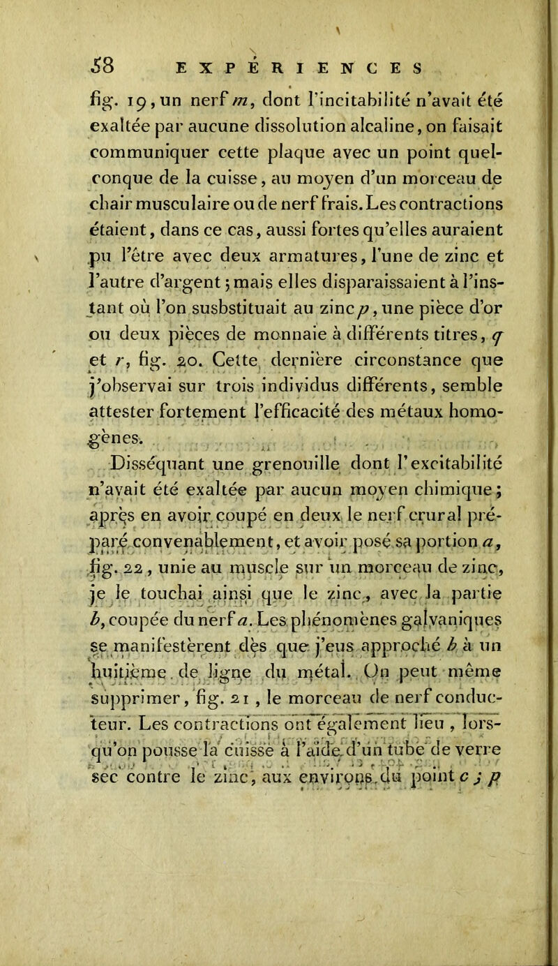 fig. 19, un nerf m, dont l'ineitabilité n’avait été exaltée par aucune dissolution alcaline, on faisait communiquer cette plaque avec un point quel- conque de la cuisse, au moyen d’un morceau de chair musculaire ou de nerf frais. Les contractions étaient, dans ce cas, aussi fortes qu’elles auraient pu l’être avec deux armatures, l’une de zinc et l’autre d’argent ; mais elles disparaissaient à l’ins- tant où l’on susbstituait au zinc/7,une pièce d’or ou deux pièces de monnaie à différents titres, q et r, fig. 2,0. Cette dernière circonstance que j’observai sur trois individus différents, semble attester fortement l’efficacité des métaux homo- gènes. Disséquant une grenouille dont l’excitabilité n’ayait été exaltée par aucun moyen chimique; aprqs en avoir coupé en deux le nerf crural pré- payé convenablement, et avoir posé sa portion a, fig. 22 , unie au muscle sur un morceau de zinc, je le touchai ainsi que le zinc., avec Ja partie Z», coupée du nerf a. Les phénomènes galvaniques se manifestèrent dès que j’eus approché b à un huitième , de ligne du métal. On peut même supprimer, fig. 21 , le morceau de nerf conduc- teur. Les contractions ont également lieu , lors- qu’on pousse la cuisse à fai dei d’untube de verre sec contre le zinc, aux environs.du pointe j p