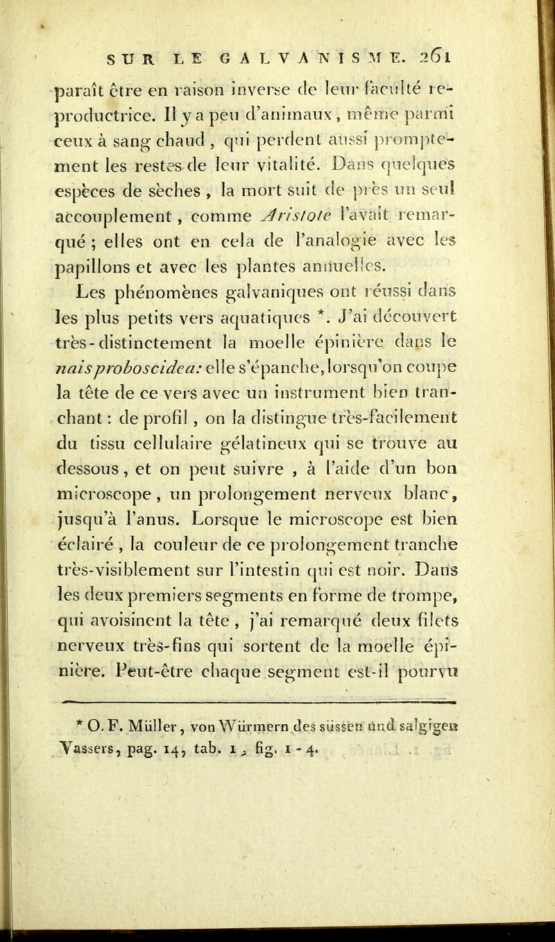 paraît être en raison inverse de leur faculté re- productrice. Il y a peu d’animaux, même parmi ceux à sang chaud , qui perdent aussi prompte- ment les restes de leur vitalité. Dans quelques espèces de sèches , la mort suit de pi es un seul accouplement, comme dnstote l’avait remar- qué ; elles ont en cela de l’analogie avec les papillons et avec les plantes annuelles. Les phénomènes galvaniques ont réussi dans les plus petits vers aquatiques *. J’ai découvert très-distinctement la moelle épinière dans le naisproboscidea: elle s’épanche, lorsqu’on coupe la tête de ce vers avec un instrument bien tran- chant : de profil , on la distingue très-facilement du tissu cellulaire gélatineux qui se trouve au dessous, et on peut suivre , à l’aide d’un bon microscope, un prolongement nerveux blanc, jusqu’à l’anus. Lorsque le microscope est bien éclairé , la couleur de ce prolongement tranche très-visiblement sur l’intestin qui est noir. Dans les deux premiers segments en forme de trompe, qui avoisinent la tête , j’ai remarqué deux filets nerveux très-fins qui sortent de la moelle épi- nière. Peut-être chaque segment est-il pourvu * O.F. Müller, von Würmern dessüssen and salgîgeîï