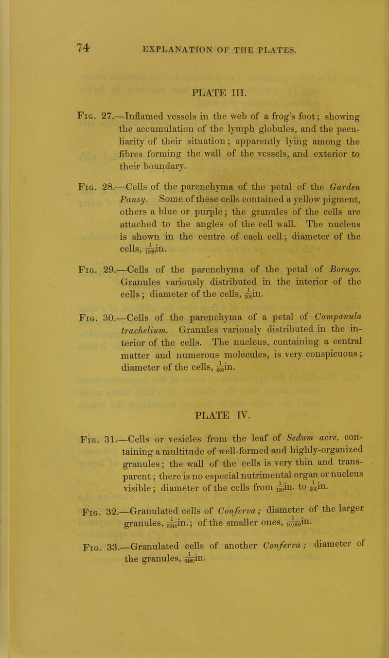 PLATE III. Fig. 27.—Inflamed vessels in the web of a frog’s foot; showing the accumulation of the lymph globules, and the pecu- liarity of their situation; apparently lying among the fibres forming the wall of the vessels, and exterior to their boundary. Fig. 28.—Cells of the parenchyma of the petal of the Garden Pansy. Some of these cells contained a yellow pigment, others a blue or purple; the granules of the cells are attached to the angles of the cell wall. The nucleus is shown in the centre of each cell; diameter of the cells, joggin. Fig. 29.—Cells of the parenchyma of the petal of Borago. Granules variously distributed in the interior of the cells; diameter of the cells, ^in. Fig. 30.—Cells of the parenchyma of a petal of Campanula traclielium. Granules variously distributed in the in- terior of the cells. The nucleus, containing a central matter and numerous molecules, is very conspicuous; diameter of the cells, ^in. PLATE IV. Fig. 31.—Cells or vesicles from the leaf of Sedum acre, con- taining a multitude of well-formed and highly-organized granules; the wall of the cells is very thin and trans- parent ; there is no especial nutrimental organ or nucleus visible; diameter of the cells from i^in. to ^in. Fig. 32.—Granulated cells of Conferva ; diameter of the larger granules, ^in.; of the smaller ones, io^ooin. Fig. 33.—Granulated cells of another Conferva; diameter of the granules, ^in.
