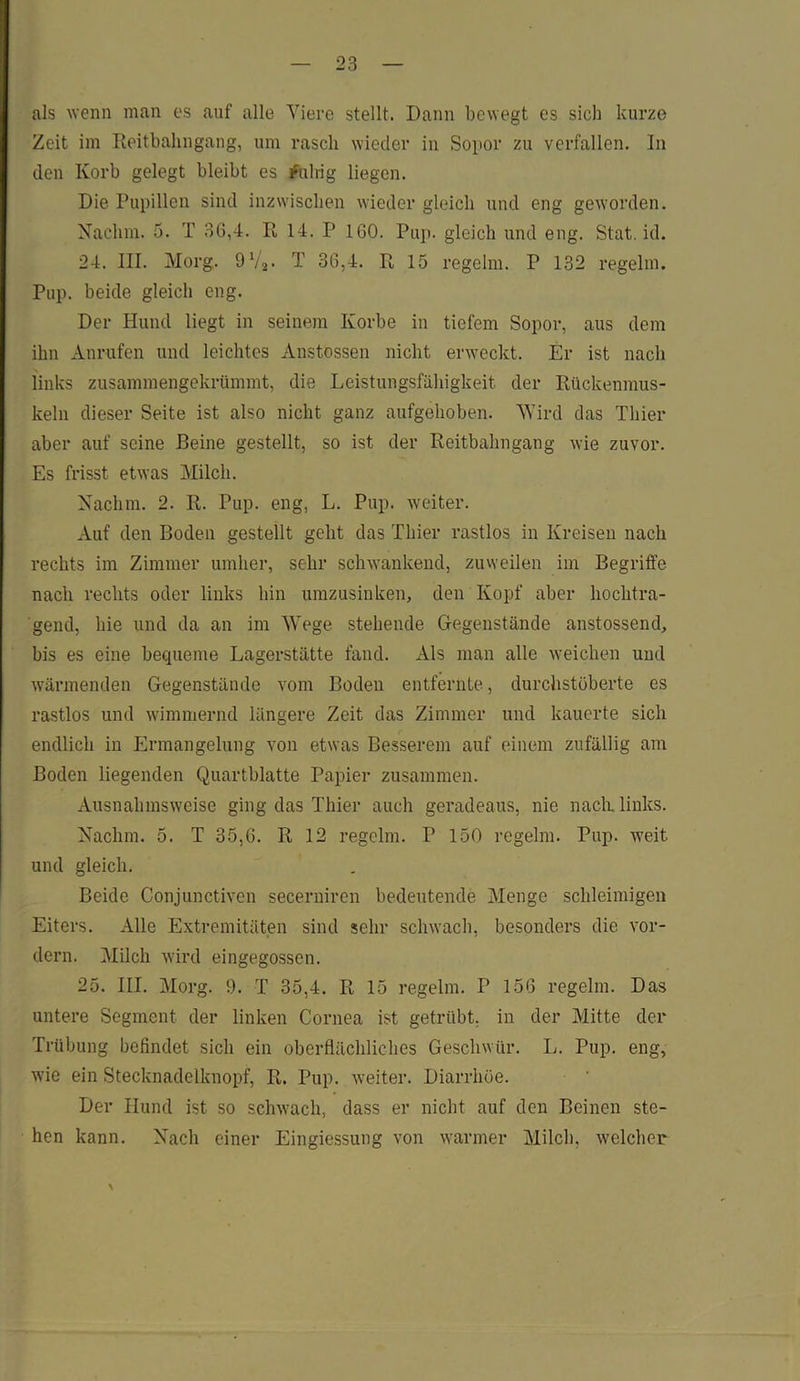 als wenn man es auf alle Viere stellt. Dann bewegt es sich kurze Zeit im Reitbahngang, um rasch wieder in Sopor zu verfallen. In den Korb gelegt bleibt es ruhig liegen. Die Pupillen sind inzwischen wieder gleich und eng geworden. Nachm. 5. T 36,4. R 14. P 160. Pup. gleich und eng. Stat. id. 24. III. Morg. 9V2. T 36,4. R 15 regelm. P 132 regelm. Pup. beide gleich eng. Der Hund liegt in seinem Korbe in tiefem Sopor, aus dem ihn Anrufen und leichtes Anstossen nicht erweckt. Er ist nach links zusammengekrümmt, die Leistungsfähigkeit der Rückenmus- keln dieser Seite ist also nicht ganz aufgehoben. Wird das Thier aber auf seine Beine gestellt, so ist der Reitbahngang wie zuvor. Es frisst etwas Milch. Nachm. 2. R. Pup. eng, L. Pup. weiter. Auf den Boden gestellt geht das Thier rastlos in Kreisen nach rechts im Zimmer umher, sehr schwankend, zuweilen im Begriffe nach rechts oder links hin umzusinken, den Kopf aber hochtra- gend, hie und da an im Wege stehende Gegenstände anstossend, bis es eine bequeme Lagerstätte fand. Als man alle weichen und wärmenden Gegenstände vom Boden entfernte, durchstöberte es rastlos und wimmernd längere Zeit das Zimmer und kauerte sich endlich in Ermangelung von etwas Besserem auf einem zufällig am Boden liegenden Quartblatte Papier zusammen. Ausnahmsweise ging das Thier auch geradeaus, nie nach, links. Nachm. 5. T 35,6. R 12 regelm. P 150 regelm. Pup. weit und gleich. Beide Conjunctiven secerniren bedeutende Menge schleimigen Eiters. Alle Extremitäten sind sehr schwach, besonders die vor- dem. Milch wird eingegossen. 25. III. Morg. 9. T 35,4. R 15 regelm. P 156 regelm. Das untere Segment der linken Cornea ist getrübt, in der Mitte der Trübung befindet sich ein oberflächliches Geschwür. L. Pup. eng, wie ein Stecknadelknopf, R. Pup. weiter. Diarrhöe. Der Hund ist so schwach, dass er nicht auf den Beinen ste- hen kann. Nach einer Eingiessung von warmer Milch, welcher \