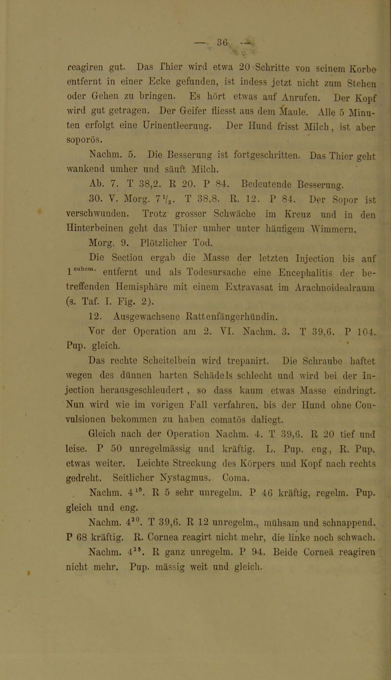 reagiren gut. Das riiier wird etwa 20 Schritte von seinem Korbe entfernt in einer Ecke gefunden, ist indess jetzt nicht zum Stehen oder Gehen zu bringen. Es hört etwas auf Anrufen. Der Kopf wird gut getragen. Der Geifer fliesst aus dem ilaule. Alle 5 Minu- ten erfolgt eine Urinentleerung. Der Hund frisst Milch, ist aber soporös. Nachm. 5. Die Besserung ist fortgeschritten. Das Thier geht wankend umher und säuft Milch. Ab. 7. T 38,2. R 20. P 84. Bedeutende Besserung. 30. Y. Morg. 7V2. T 38,8. R. 12. P 84. Der Sopor ist verschwunden. Trotz grosser Schwäche im Kreuz und in den Hinterbeinen gellt das Thier umher unter häufigem Wimmern. Morg. 9. Plötzlicher Tod. Die Section ergab die Masse der letzten Injection bis auf 1 cubcm. ent,fernt und als Todesursache eine Encephalitis der be- treffenden Hemisphäre mit einem Extravasat im Arachnoidealraum (s. Taf. I. Fig. 2). 12. Ausgewachsene Rattenfängerhündin. Vor der Operation am 2. VI. Nachm. 3. T 39,6. P 104. Pup. gleich. Das rechte Scheitelbein wird trepanirt. Die Schraube haftet wegen des dünnen harten Schädels schlecht und wird bei der In- jection herausgeschleudert , so dass kaum etwas Masse eindringt. Nun wird wie im vorigen Fall verfahren, bis der Hund ohne Con- vulsionen bekommen zu haben comatös daliegt. Gleich nach der Operation Nachm. 4. T 39,6. R 20 tief und leise. P 50 unregelmässig und kräftig. L. Pup. eng, R. Pup. etwas weiter. Leichte Streckung des Körpers und Kopf nach rechts gedreht. Seitlicher Nystagmus. Coma. Nachm. 410. R 5 sehr unregelm. P 46 kräftig, regelm. Pup. gleich und eng. Nachm. 420. T 39,6. R 12 unregelm., mühsam und schnappend. P 68 kräftig. R. Cornea reagirt nicht mehr, die linke noch schwach. Nachm. 425. R ganz unregelm. P 94. Beide Corneä reagiren nicht mehr. Pup. mässig weit und gleich.