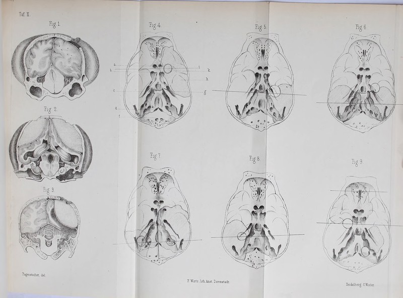 Taf I. T. Wutz .lrfLAnst.Da-rmstadt