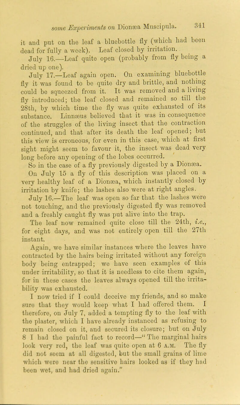 it and put on the leaf a bluebottle fly (which had been dead for fully a week). Leaf closed by irritation. July 16.—Leaf quite open (probably from fly being a dried up one). July 17.—Leaf again open. On examining bluebottle fly it was found to be quite dry and brittle, and nothing could be squeezed from it. It was removed and a living fly introduced; the leaf closed and remained so till the 28th, by which time the fly was quite exhausted of its substance. Linnasus believed that it was in consequence of the struggles of the living insect that the contraction continued, and that after its death the leaf opened; but this view is erroneous, for even in this case, which at first sight might seem to favour it, the insect was dead very long before any opening of the lobes occurred. So in the case of a fly previously digested by a Dionrea. On July 15 a fly of this description was placed on a very healthy leaf of a Dionrea, which instantly closed by irritation by knife; the lashes also were at right angles. July 16.—The leaf was open so far that the lashes were not touching, and the previously digested fly was removed and a freshly caught fly was put alive into the trap. The leaf now remained quite close till the 24th, i.e., for eight days, and was not entirely open till the 27th instant. Again, we have similar instances where the leaves have contracted by the hairs being irritated without any foreign body being entrapped; we have seen examples of this under irritability, so that it is needless to cite them again, for in these cases the leaves always opened till the irrita- bility was exhausted. I now tried if I could deceive my friends, and so make sure that they would keep what I had offered them. I therefore, on July 7, added a tempting fly to the leaf with the plaster, which I have already instanced as refusing to remain closed on it, and secured its closure; but on July 8 I had the painful fact to record—“ The marginal hairs look very red, the leaf was quite open at 6 A.M. The fly did not seem at all digested, but the small grains of lime which were near the sensitive hairs looked as if they had been wet, and had dried again.”
