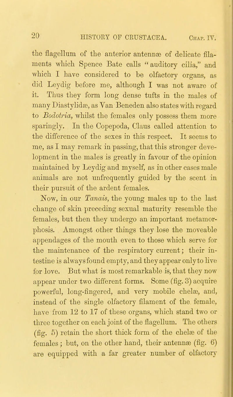 the flagellum of the anterior antennae of delicate fila- ments which Spence Bate calls auditory cilia, and which I have considered to be olfactory organs, as did Leydig before me, although I was not aware of it. Thus they form long dense tufts in the males of many Diastylidae, as Van Beneden also states with regard to Bodotria, whilst the females only possess them more sparingly. In the Copepoda, Claus called attention to the difference of the sexes in this respect. It seems to me, as I may remark in passing, that this stronger deve- lopment in the males is greatly in favour of the opinion maintained by Leydig and myself, as in other cases male animals are not unfrequently guided by the scent in their pursuit of the ardent females. Now, in our Tanais, the young males up to the last change of skin preceding sexual maturity resemble the females, but then they undergo an important metamor- phosis. Amongst other things they lose the moveable appendages of the mouth even to those which serve for the maintenance of the respiratory current; their in- testine is always found empty, and they appear only to live for love. But what is most remarkable is, that they now ajjpear under two different forms. Some (fig. 3) acquire powerful, long-fingered, and very mobile chelae, and, instead of the single olfactory filament of the female, have from 12 to 17 of these organs, which stand two or three together on each joint of the flagellum. The others (fig. 5) retain the short thick form of the chela3 of the females; but, on the other hand, their antenn® (fig. 6) are equipped with a far greater number of olfactory-