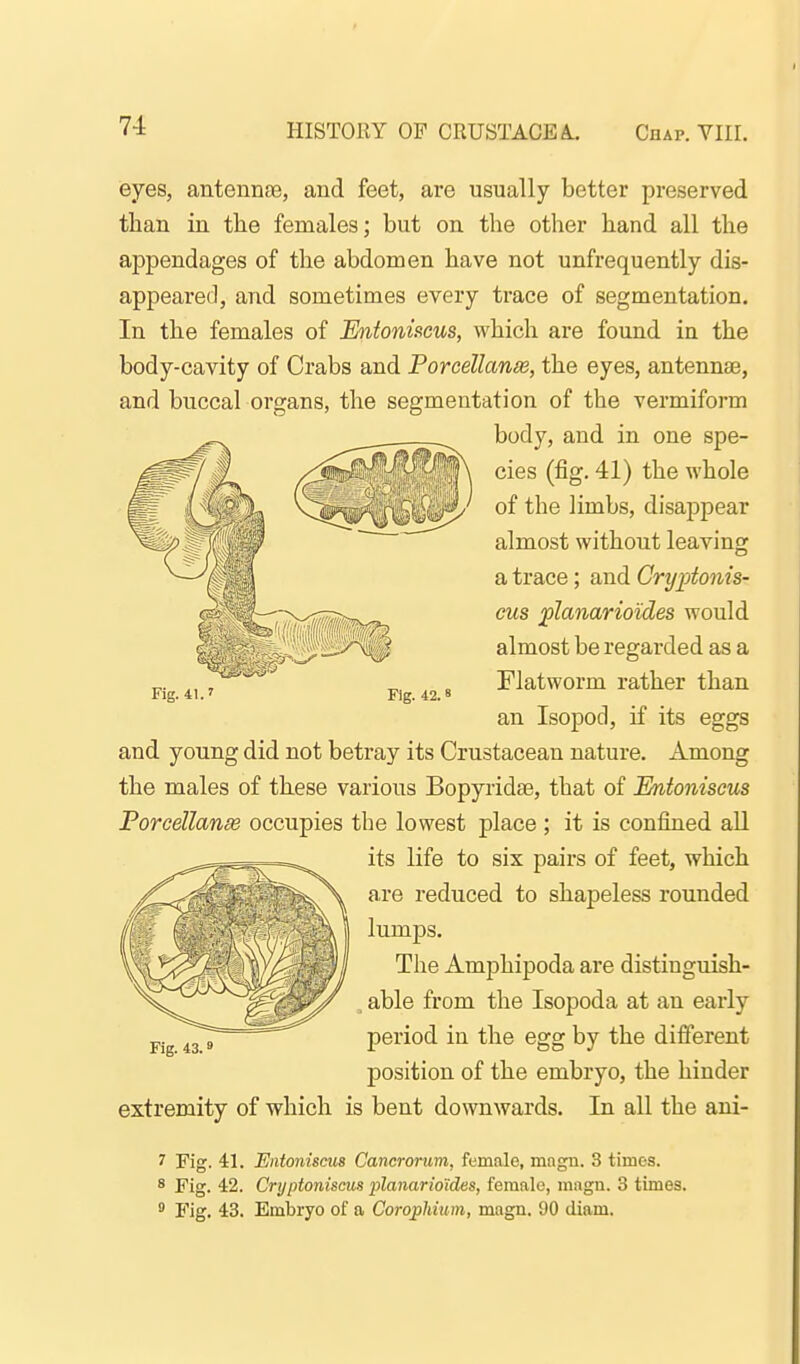 eyes, antennfe, and feet, are usually better preserved than in the females; but on the other hand all the appendages of the abdomen have not unfrequently dis- appeared, and sometimes every trace of segmentation. In the females of Entonhcus, which are found in the body-cavity of Crabs and Porcellanse, the eyes, antennae, and buccal organs, the segmentation of the vermiform body, and in one spe- cies (fig. 41) the whole of the limbs, disappear almost without leaving a trace; and Criji^tonis- cus planarioides would almost be regarded as a Flatworm rather than an Isopod, if its eggs and young did not betray its Crustacean nature. Among the males of these various Bopyridae, that of Entoniseus Porcellanse occupies the lowest place ; it is confined all its life to six pairs of feet, which are reduced to shapeless rounded lumps. The Amphipoda are distinguish- , able from the Isopoda at an early period in the egg by the different position of the embryo, the hinder extremity of which is bent downwards. In all the ani- 7 Fig. 41. Entoniseus Cancrorum, female, magn. 3 times. 8 Fig. 42. Cryptoniscus iilanarioides, female, inagn. 3 times. ^ Fig. 43. Embryo of a Corophium, magn. 90 diam.