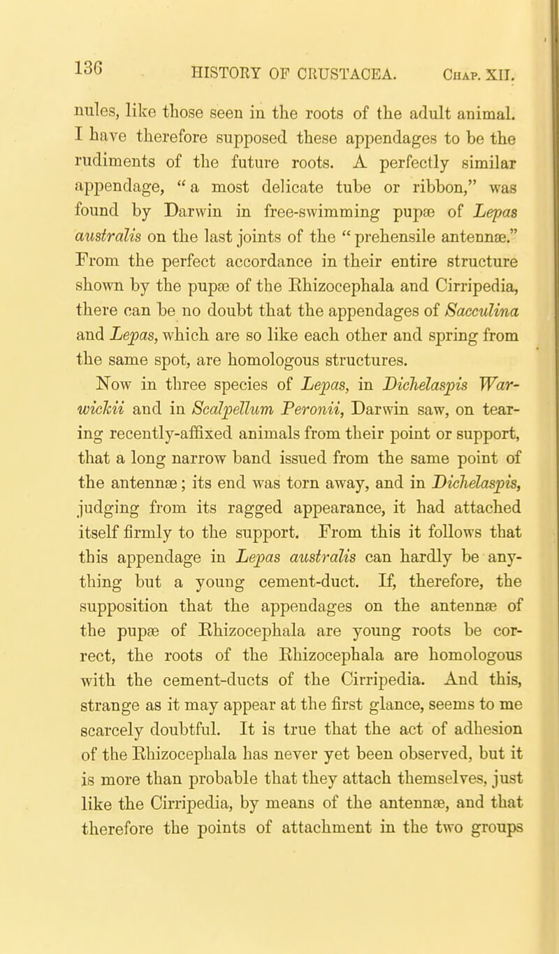 HISTORY OF CRUSTACEA. Chap. XII. nules, like those seen in the roots of the adult animal. I have therefore supposed these appendages to be the rudiments of the future roots. A perfectly similar appendage,  a most delicate tube or ribbon, was found by Darwin in free-swimming pupae of Lepas australis on the last joints of the  prehensile antennae. From the perfect accordance in their entire structure shown by the pupa3 of the Rhizocephala and Cirripedia, there can be no doubt that the appendages of SaccuUna and Lepas, which are so like each other and spring from the same spot, are homologous structures. Now in three species of Lepas, in Diehelaspis War- wicTcii and in Scalpellum Peronii, Darwin saw, on tear- ing recently-affixed animals from their point or support, that a long narrow band issued from the same point of the antennae; its end was torn away, and in Diehelaspis, judging from its ragged appearance, it had attached itself firmly to the support. From this it follows that this appendage in Lepas australis can hardly be any- thing but a young cement-duct. If, therefore, the supposition that the appendages on the antennae of the pupae of Ehizocephala are young roots be cor- rect, the roots of the Ehizocephala are homologous with the cement-ducts of the Cirripedia. And this, strange as it may appear at the first glance, seems to me scarcely doubtful. It is true that the act of adhesion of the Rhizocephala has never yet been observed, but it is more than probable that they attach themselves, just like the Cirripedia, by means of the antennae, and that therefore the points of attachment in the two groups