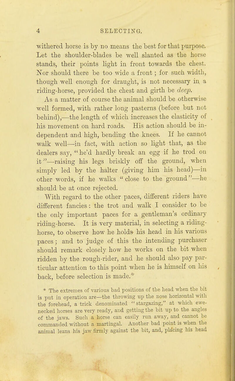 ■withered horse is by no means the best for that purpose. Let the shoulder-blades be well slanted as the horse stands, their points light in front towards the chest. Nor should there be too wide a front; for such width, though well enough for draught, is not necessary in a riding-horse, provided the chest and girth be deep. Asa matter of course the animal should be otherwise well formed, with rather long pasterns (before but not behind),—the length of which increases the elasticity of his movement on hard roads. His action should be in- dependent and high, bending the knees. If he cannot walk well—in fact, with action so light that, as the dealers say, he'd hardly break an egg if he trod on it—raising his legs briskly off the ground, when simply led by the halter (giving him his head)—in other words, if he walks close to the ground—he should be at once rejected. With regard to the other paces, different riders have different fancies: the trot and walk I consider to be the only important paces for a gentleman's ordinary riding-horse. It is very material, in selecting a riding- horse, to observe how he holds- his head in his various paces; and to judge of this the intending purchaser should remark closely how he works on the bit when ridden by the rough-rider, and he should also pay par- ticular attention to this point when he is himself on his back, before selection is made.* * The extremes of various bad positions of the head when the bit is put in operation are—the throwing up the nose horizontal with the forehead, a trick denominated stargazing, at which ewe- necked horses are very ready, and getting the bit up to the angles of the jaws. Such a horse can easily run away, and cannot be commanded without a martingal. Another bad point is when the animal leans his jaw firmly against the bit, and, placing his head