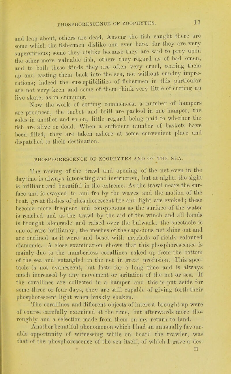 PHOSPHORESCENCE OF ZOOPHYTES. and leap about, others are dead. Among the fish caught there are some wliicli the fishermen dislike and even hate, for they are very superstitious; some they dislike because they are said to prey upon the other more valuable fish, others they regard as of bad omen, and to both these kinds they are often very cruel, tearing them up and casting them back into the sea, not without sundry impre- (^ations; indeed the susceptibilities of fishermen in this particular are not very keen and some of them think very little of cutting up live skate, as in crimping. Now the work of sovtiiig commences, a number of hampers are produced, the turhot and brill are packed in one hamper, the soles in another and so on, little regard being paid to whether the fish are alive or dead. When a sufiicient number of baskets have been filled, they are taken ashore at some convenient place and dispatched to their destination. PHOSPHORESCENCE OF ZOOPHYTES AND OF THE SEA. * The raising of the trawl and opening of the net even in the daytime is always interesting and instructive, hut at night, the sight is brilliant and beautiful in the extreme. As the trawl nears the sur- face and is swayed to and fro by the waves and the motion of the boat, great flashes of phosphorescent fire and light are evoked; these become more frefpent and conspicuous as the surface of the water is reached and as the trawl by the aid of the winch and all hands is brought alongside and raised over the bulwark, the spectacle is one of ]'are brilliancj^; the meshes of the capacious net shine out and are outlined as it were and beset with myriads of richly coloured diamonds. A close examination shows tiiat this phosphorescence is mainly due to the numberless corallines raked up from the bottom of the sea and entangled in the net in great profusion. This spec- tacle is not evanescent, but lasts for a long time and is always much increased by any movement or agitation of the net or sea. If the corallines are collected in a hamper and this is put aside for some three or four days, they are still capable of giving forth their phosphorescent light when briskly shaken. The corallines and difi'erent objects of interest brought iip were of course (iarefully examined at the time, but afterwards more tho- roughly and a selection made from them on my return to land. Another beautiful phenomenon which I had an unusually favour- iibly opportunity of witnessing while on board the trawler, was tliat of the phosphorescence of the sea itself, of which 1 gave a des- II