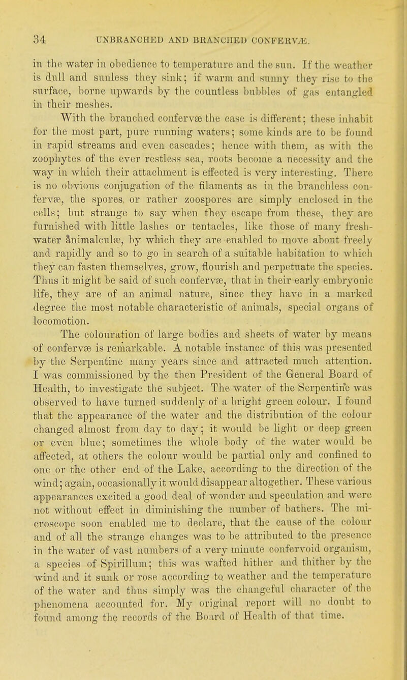 in tlie water in obedience to temperature and the sun. If the weather is dull and suuless they sink; if warm and sunny they rise to the surface, borne upwards by the countless bubbles of gas entangled in their meshes. With the branched confervse the case is different; these inhabit for the most part, pure running waters; some kinds are to be found in rapid streams and even cascades; hence with them, as with the zoophytes of the ever restless sea, roots become a necessity and the way in whicli their attacliment is effected is very interesting. There is no obvioiis conjugation of the filaments as in tlie brancliless con- fervfe, tlie spores, or rather zoospores are simply enclosed in the cells; but strange to say when they escape from these, they are fiirnished with little lashes or tentacles, like those of many fresli- water Snimalculfe, by which they are enabled to move about freely and rapidly and so to go in search of a suitable habitation to Avhich they can fasten themselves, grow, flourish and perpetuate the species. Thus it might be said of such confervfe, that in their early embryonic life, they are of an animal nature, since they have in a marked degree the most notable characteristic of animals, special organs of locomotion. The colouration of large bodies and sheets of water by means of conferva is remarkable. A notable instance of tliis was presented by the Serpentine many years since and attracted much attention. I was commissioned by the then President of the General Board of Health, to investigate the subject. The water of the Serpentine was observed to have turned suddenly of a bright green colour. I found that the appearance of the water and the distribution of the colour changed almost from Any to day; it would be light or deep green or even blue; sometimes the whole body of the water would be affected, at others the colour would be partial only and confined to one or the other end of the Lake, according to the direction of the wind; again, occasionally it woiild disappear altogether. These various appearances excited a good deal of Avonder and speculation and were not without effect in diminishing the number of batliers. The mi- croscope soon enabled me to declare, that the cause of the colour and of all the strange changes was to be attributed to the presence in the water of vast numbers of a very minute confervoid organism, a species of Spirillum; this was wafted hither and thither by the wind and it simlv or rose according to weather and tlie temperature of the water and thus simply was tlie changeful cliaracter of the phenomena accounted for. My original report will no doubt to found among the records of the Board of Health of tliat time.