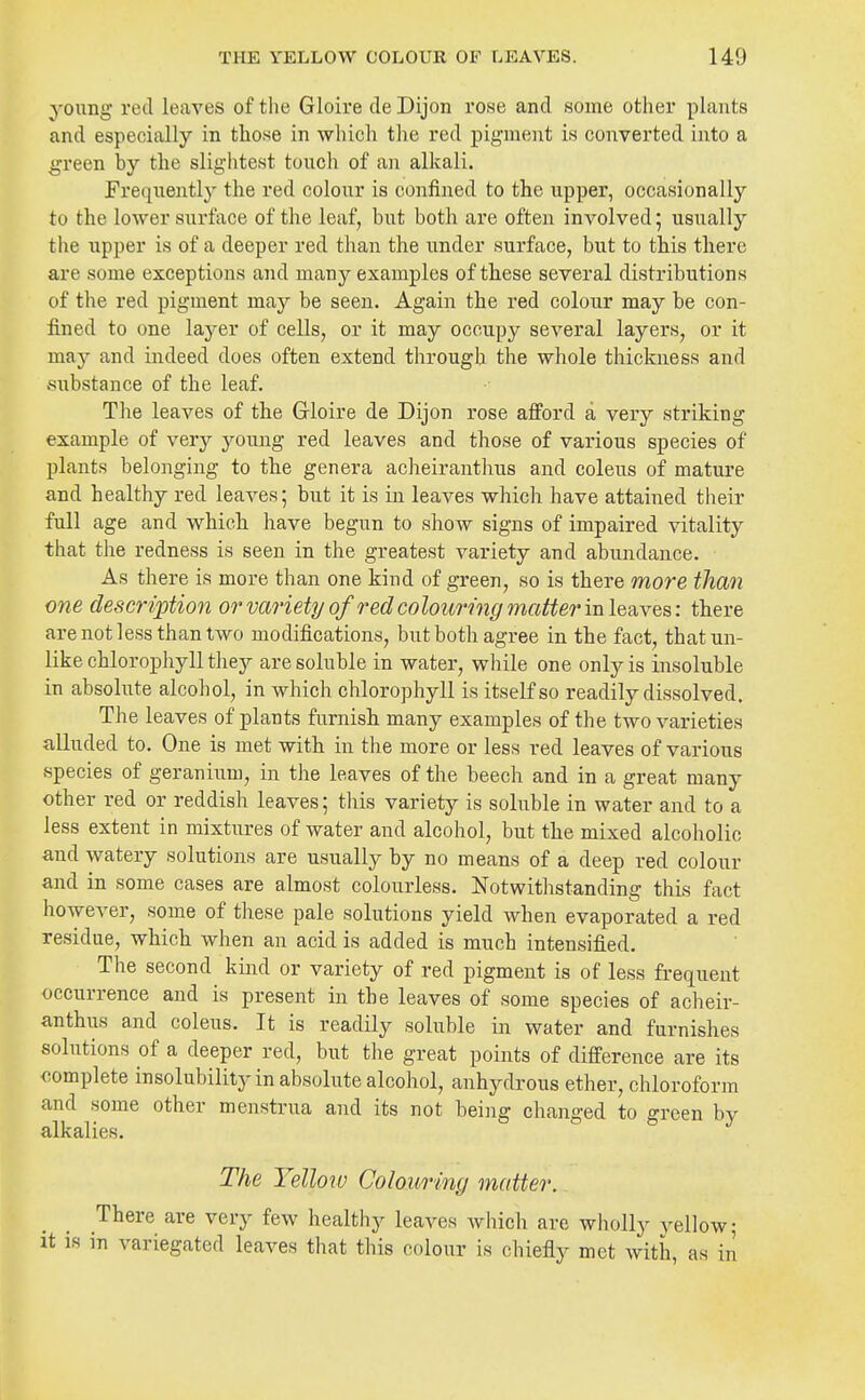 young red leaves of the Gloire de Dijon rose and some other plants and especially in those in which the red pigment is converted into a green by the sligiitest toucli of an alkali. Frequently the red colour is confined to the upper, occasionally to the lower surface of the leaf, but both are often involved; usually the upper is of a deeper red than the under surface, but to this there are some exceptions and many examples of these several distributions of the red pigment may be seen. Again the red colour may be con- fined to one la-yer of cells, or it may occupy several layers, or it may and indeed does often extend through the whole thickness and .substance of the leaf. The leaves of the Grloire de Dijon rose afford a very striking example of very young red leaves and those of various species of plants belonging to the genera acheiranthus and coleus of mature and healthy red leaves; but it is in leaves which have attained their full age and which have begun to show signs of impaired vitality that the redness is seen in the greatest variety and abundance. As there is more than one kind of green, so is there more than one description or variety of red colouring matter m\Q?i\%8: there are not less than two modifications, but both agree in the fact, that un- like chlorophyll they are soluble in water, while one only is insoluble in absolute alcohol, in which chlorophyll is itself so readily dissolved. The leaves of plants furnish many examples of the two varieties alluded to. One is met with in the more or less red leaves of various species of geranium, in the leaves of the beech and in a great many other red or reddish leaves; this variety is soluble in water and to a less extent in mixtures of water and alcohol, but the mixed alcoholic and watery solutions are usually by no means of a deep red colour and in some cases are almost colourless. Notwithstanding this fact however, some of these pale solutions yield when evaporated a red residue, which when an acid is added is much intensified. The second kind or variety of red pigment is of less frequent occurrence and is present in the leaves of some species of acheir- anthus and coleus. It is readily soluble in water and furnishes solutions of a deeper red, but the great points of difference are its complete insolubility in absolute alcohol, anhydrous ether, chloroform and some other menstrua and its not being changed to green by alkalies. The Yelloiv Colouring matter. There are very few healthy leaves wliich arc wholly yellow; it is in variegated leaves that tliis colour is chiefly met with, as in