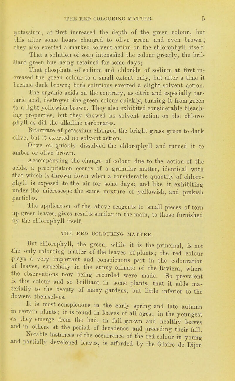 potassium, at first increased tlie deptli of the green colour, but this after some hours changed to olive green and even brown 5 they also exerted a anariied solvent action on the chlorophyll itself. That a solution of soap intensified the colour greatly, the bril- iliant green hue being retained for some days; That phosphate of sodium and chloride of sodium at first in- creased the green colour to a small extent only, but after a time it became dark brown^ both solutions exerted a slight solvent action. The organic acids on the contrary, as citric and especially tar- taric acid, destroyed the green colour quickly, turning it from green to a light yellowish brown. They also exhibited considerable bleach- ing properties, but they showed no solvent action on the chloro- phyll as did the alkaline carbonates. Bitartrate of potassium changed the bright grass green to dark •olive, but it exerted no solvent action. Olive oil quickly dissolved the chlorophyll and turned it to •amber or olive brown. Accompanying the change of colour due to the action of the .acids, a precipitation oocurs of a granular matter, identical with •that which is .thrown down when a considerable quantity of chloro- phyll is exposed to fthe air for some days; and like it exhibiting under the microscope the same mixture of yellowish, and pinkish .particles. The application of the above reagents to small pieces of torn up green leaves, gives results similar in the main, to those furnished by the chlorophyll itself. THE RED COLOURING MATTER. But chlorophyll, the green, while it is the principal, is not the only colouring matter of the leaves of plants; the red colour .plays a very impo-rtant and conspicuous part in the colouration •of leaves, expecially in the sunny climate of the Eiviera, where the observations now being recorded were made. So prevalent is this colour and so brilliant in some plants, that it adds ma- terially to the beauty of many gardens, but little inferior to the flowers themselves. It is most conspicuous in the early spring and late autumn m certain plants; it is found in leaves of all ages, in the youngest as they emerge from the bud, in full grown and healthy leaves and others at the period of decadence and preceding their fall. Notable instances of the occurrence of the red colour in young and partially developed leaves, is afforded by the Gloire de Dijon