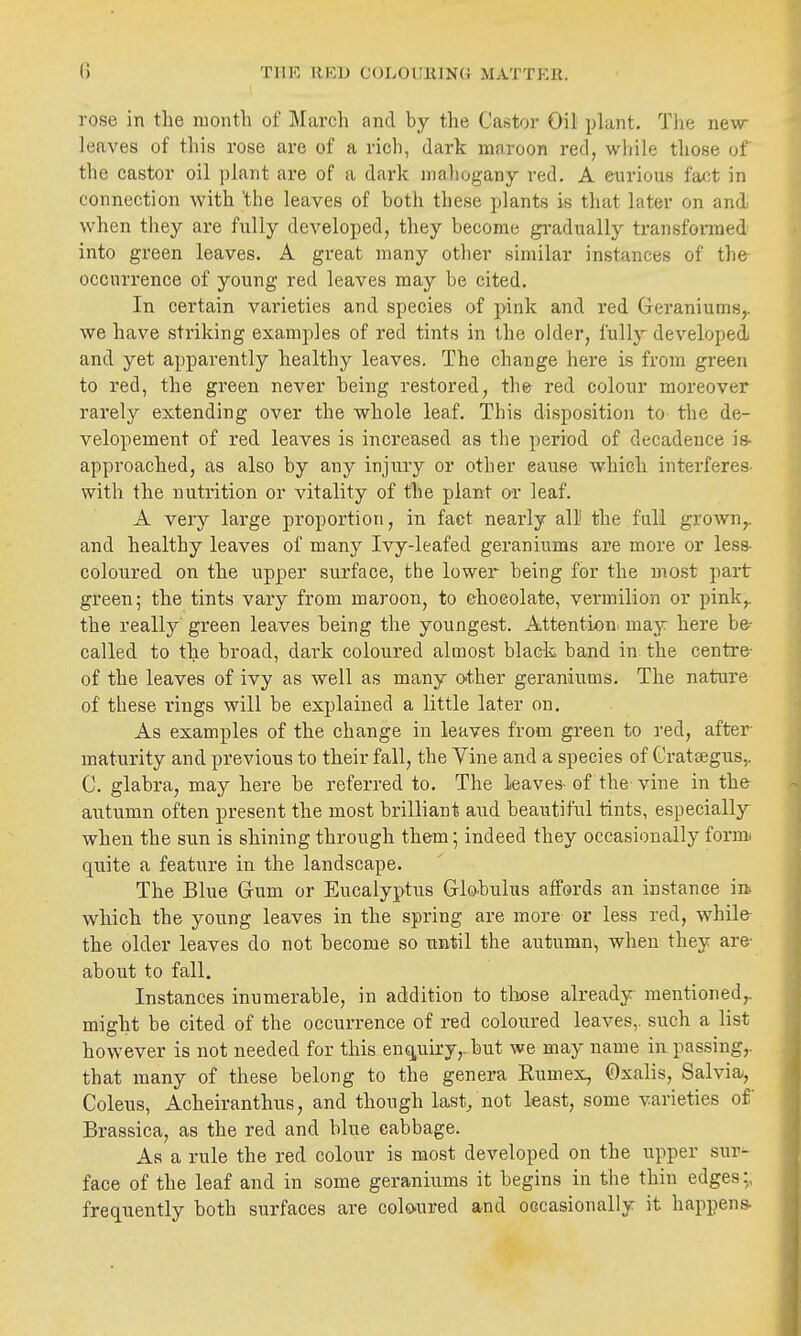 rose in the month of March and by the Castor Oil plant. Tlie new- leaves of this rose are of a rich, dark maroon red, while those of the castor oil plant are of a dark mahogany red. A eurious fax;t in connection with 'the leaves of both these plants is that later on and when they are fully developed, they become gradually transformed into green leaves. A great many otlier similar instances of the occurrence of young red leaves may be cited. In certain varieties and species of pink and red Geraniums^ we have striking examples of red tints in the older, fully developed and yet apparently healthy leaves. The change here is from green to red, the green never being restored, the red colour moreover rarely extending over the whole leaf. This disposition to the de- velopement of red leaves is increased as tlie period of decadence is- approached, as also by any injury or other cause which interferes- with the nutrition or vitality of the plant ov leaf. A very large proportion, in fact nearly all' the full grown^ and healthy leaves of many Ivy-leafed geraniums are more or less- coloured on the upper surface, the lower being for the most part green; the tints vary from maroon, to chocolate, vermilion or pink,, the really green leaves being the youngest. Attention majr here be- called to the broad, dark coloured almost black band in the centre- of the leaves of ivy as well as many other geraniums. The nature of these rings will be explained a little later on. As examples of the change in leaves from green to red, after maturity and previous to their fall, the Vine and a species of Cratsegus,. C. glabra, may here be referred to. The leaves-of the-vine in the- autumn often present the most brilliant and beautiful tints, especially when the sxin is shining through them; indeed they occasionally form* quite a feature in the landscape. The Blue Gum or Eucalyptus Globulus affords an instance in. which the young leaves in the spring are more or less red, while the older leaves do not become so until the autumn, when they are- about to fall. Instances inumerable, in addition to tliose already mentioned^ might be cited of the occurrence of red coloured leaves,, such a list however is not needed for this enG|,uiry,.but we may name in passing,, that many of these belong to the genera Rumex, Oxalis, Salvia, Colons, Acheiranthus, and though last/not least, some varieties of Brassica, as the red and blue cabbage. As a rule the red colour is most developed on the upper sur^ face of the leaf and in some geraniums it begins in the thin edges;, frequently both surfaces are colo-ured and occasionally it happens-
