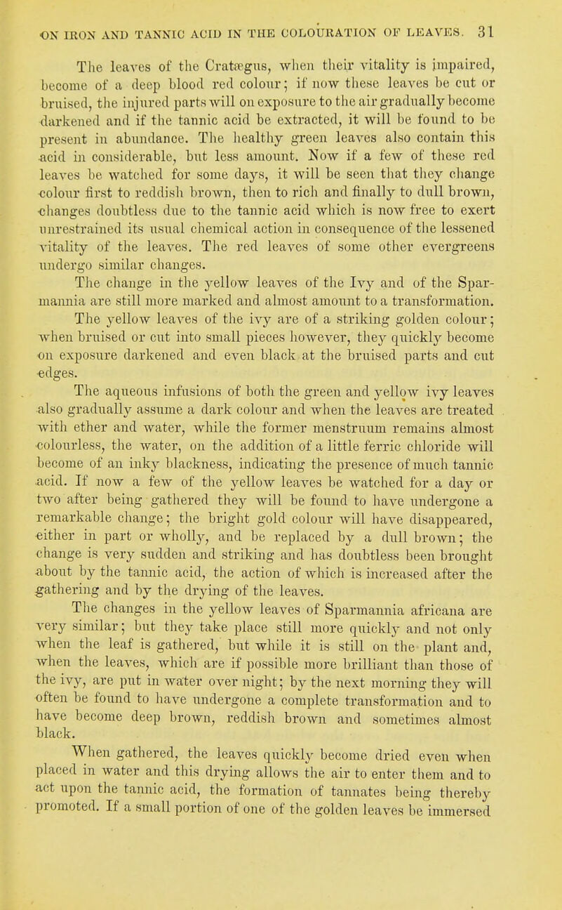 The leaves of tlie Crategns, wlien their vitality is impaired, become of a deep blood red colour; if now the.se leaves be cut or bniised, tJie injured parts will on exposure to the air gradually become darkened and if tiie tannic acid be extracted, it will be found to be present in abundance. Tlie healthy green leaves also contain this ■acid in considerable, but less amount. Now if a few of tliese red leaves be watched for some days, it will be seen that they cliange colour first to reddish brown, then to ricli and finally to dull brown, ■changes doubtless due to the tannic acid which is now free to exert unrestrained its usual chemical action in consequence of the lessened vitality of the leaves. The red leaves of some other evergreens undergo similar changes. Tlie change in tlie yellow leaves of the Ivy and of the Spar- niannia are still more marked and almost amount to a transformation. The yellow leaves of the ivy are of a striking golden colour; when bruised or cut into small pieces however, they quickly become on exposure darkened and even black at the bruised parts and cut ■edges. The aqueous infusions of both the green and yellow ivy leaves also gradually assume a dark colour and when the leaves are treated with ether and water, while the former menstruum remains almost colourless, the water, on the addition of a little ferric chloride will become of an inky blackness, indicating the presence of much tannic acid. If now a few of the yellow leaves be watched for a day or two after being gathered they will be found to have undergone a remarkable change; the bright gold colour will have disappeared, either in part or wholly, and be replaced by a dull brown; the change is very sudden and striking and has doubtless been brouglit ^ibout by the tannic acid, the action of which is increased after the gathering and by the drying of the leaves. The changes in the yellow leaves of Sparmannia africana are very similar; but they take place still more quickly and not only when the leaf is gathered, but while it is still on the plant and, when the leaves, which are if possible more brilliant tlian those of the ivy, are put in water over night; by the next morning they will often be found to have undergone a complete transformation and to have become deep brown, reddish brown and sometimes almost black. When gathered, the leaves quickly become dried even when placed in water and this drying allows the air to enter them and to act upon the tannic acid, the formation of tannates being thereby promoted. If a small portion of one of tbe golden leaves be immersed