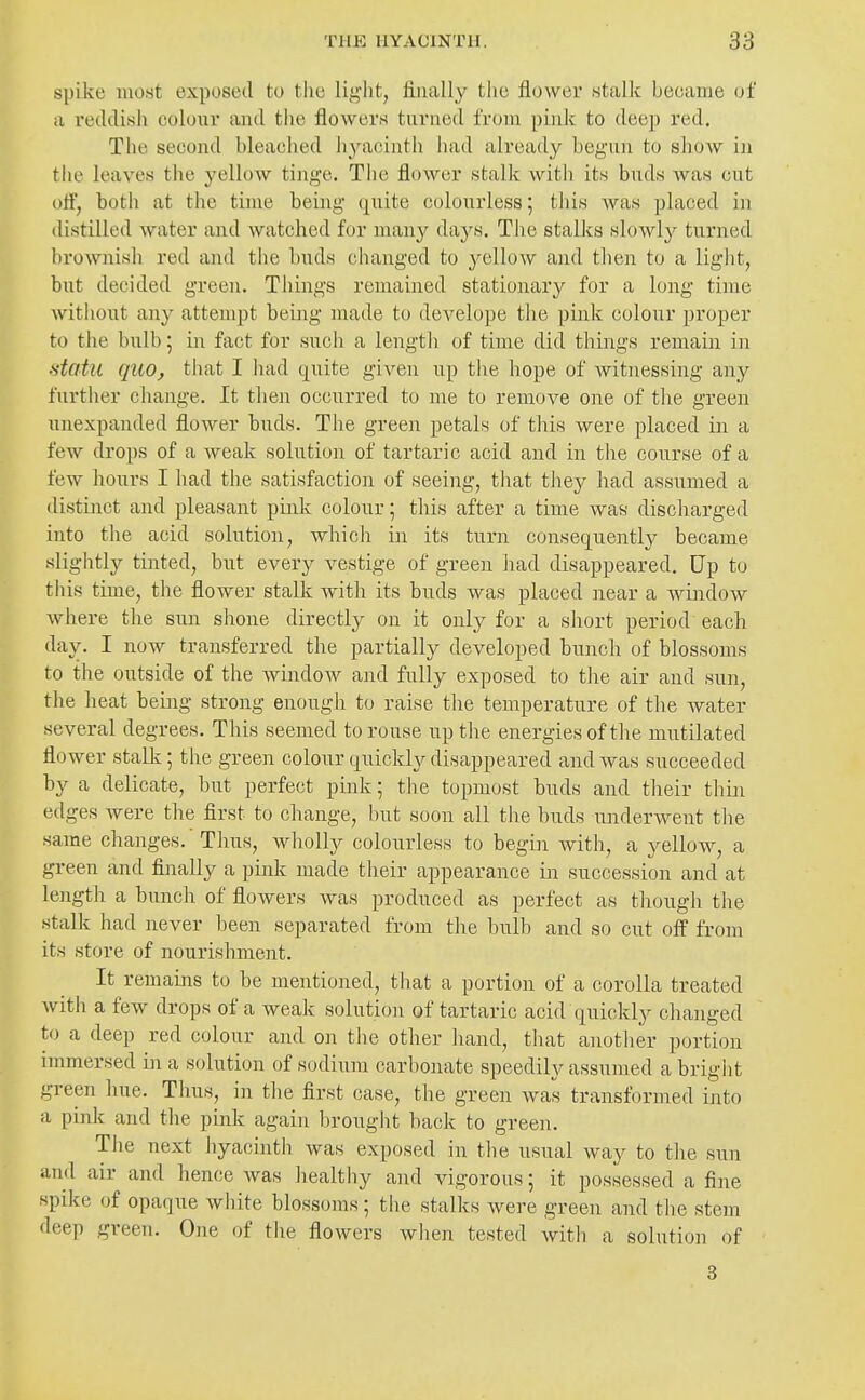 spike most exposed to tlic light, finally the flower stalk became of a reddish colour and tlie flowers turned from piuk to deej) red. The second bleached liyacintli liad already begun to show in the leaves the yellow tinge. The flower stalk with its buds was cut off, both at the time being quite colourless; this was placed in distilled water and watched for many days. The stalks sloAvly turned brownish red and the buds changed to yelloAV ajid then to a liglit, but decided green. Things remained stationary for a long time witliout any attempt being made to develope tlie pink colour proper to the bulb; in fact for such a length of time did things remain in •statu quo, that I had quite given up the hope of witnessing any further change. It then occurred to me to remove one of tlie green unexpanded flower buds. The green petals of tliis were placed in a few drops of a weak solution of tartaric acid and in the course of a few hours I had the satisfaction of seeing, that they had assumed a distinct and pleasant pink colour; this after a time Avas discharged into the acid solution, which in its turn consequently became sliglitly tinted, but every vestige of green liad disappeared. Up to this time, the flower stalk Avith its buds was placed near a Avindow Avhere the sun shone directly on it only for a short period each day. I noAV transferred the partially developed bunch of blossoms to the outside of the AvindoAV and fully exposed to the air and sun, the heat being strong enough to raise the temperature of the Avater several degrees. This seemed to rouse up tlie energies of the mutilated flower stalk; the green colour quickly disappeared and was succeeded by a delicate, but perfect piuk; the topmost buds and their thin edges Avere the first to change, but soon all tlie buds underAvent the same changes. Thus, Avholly colourless to begin Avith, a yelloAV, a green and finally a pink made their appearance in succession and at length a bunch of flowers Avas produced as perfect as though the stalk had never been separated from the bulb and so cut off from its store of nourishment. It remaiias to be mentioned, that a portion of a corolla treated Avith a fcAV drops of a weak solution of tartaric acid quickly changed to a deep red colour and on tlie other hand, that another portion immersed in a solution of sodium carbonate speedily assumed a bright green hue. Thus, in the first case, the green was transformed into a pink and the pink again brought back to green. The next hyacintli Avas exposed in tlie usual way to the sun and air and hence was healthy and vigorous; it possessed a fine spike of opaque white blossoms; tlie stalks Avere green and the stem deep green. One of the flowers when tested with a solution of 3