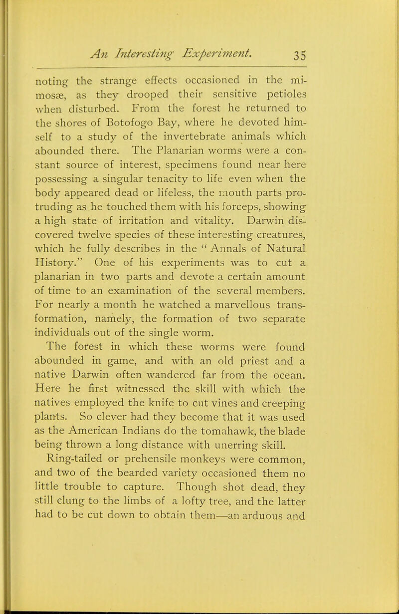 noting the strange effects occasioned in the mi- mosae, as they drooped their sensitive petioles when disturbed. From the forest he returned to the shores of Botofogo Bay, where he devoted him- self to a study of the invertebrate animals which abounded there. The Planarian worms were a con- stant source of interest, specimens found near here possessing a singular tenacity to life even when the body appeared dead or lifeless, the mouth jjarts pro- truding as he touched them with his forceps, showing a high state of irritation and vitality. Darwin dis- covered twelve species of these interesting creatures, which he fully describes in the  Annals of Natural History. One of his experiments was to cut a planarian in two parts and devote a certain amount of time to an examination of the several members. For nearly a month he watched a marvellous trans- formation, namely, the formation of two separate individuals out of the single worm. The forest in which these worms were found abounded in game, and with an old priest and a native Darwin often wandered far from the ocean. Here he first witnessed the skill with which the natives employed the knife to cut vines and creeping plants. So clever had they become that it was used as the American Indians do the tomahawk, the blade being thrown a long distance with unerring skill. Ring-tailed or prehensile monkeys were common, and two of the bearded variety occasioned them no little trouble to capture. Though shot dead, they still clung to the limbs of a lofty tree, and the latter had to be cut down to obtain them—an arduous and