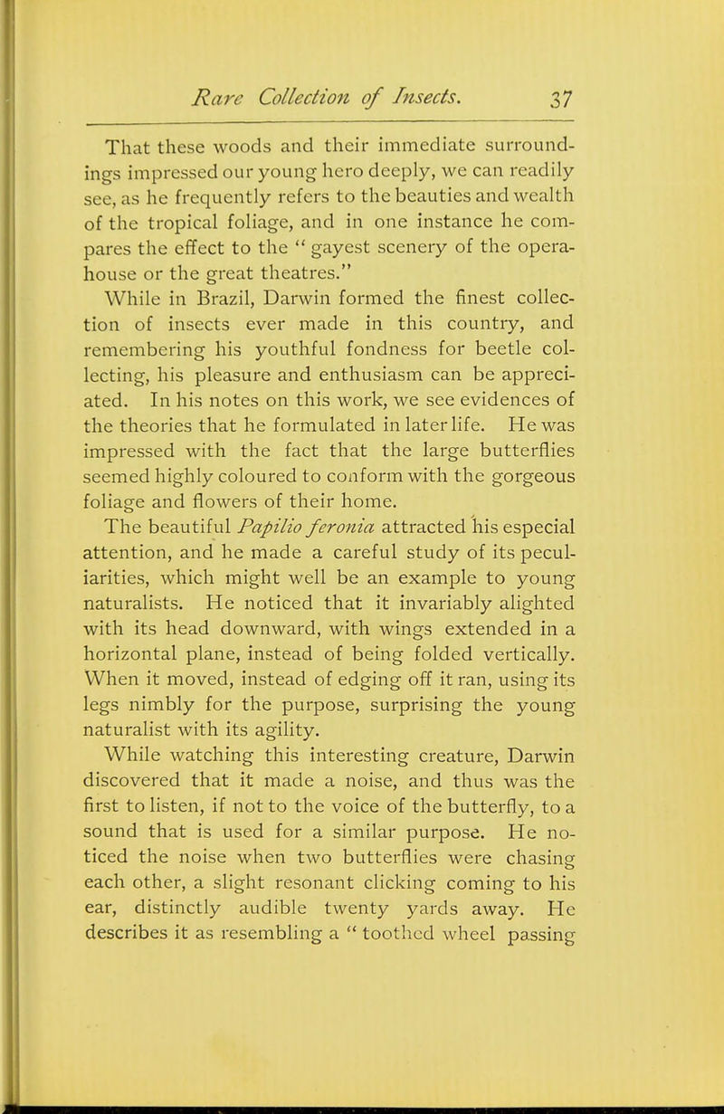 That these woods and their immediate surround- ings impressed our young hero deeply, we can readily see, as he frequently refers to the beauties and wealth of the tropical foliage, and in one instance he com- pares the effect to the  gayest scenery of the opera- house or the great theatres. While in Brazil, Darwin formed the finest collec- tion of insects ever made in this country, and remembering his youthful fondness for beetle col- lecting, his pleasure and enthusiasm can be appreci- ated. In his notes on this work, we see evidences of the theories that he formulated in later life. He was impressed with the fact that the large butterflies seemed highly coloured to conform with the gorgeous foliage and flowers of their home. The beautiful Papilio feronia attracted his especial attention, and he made a careful study of its pecul- iarities, which might well be an example to young naturalists. He noticed that it invariably alighted with its head downward, with wings extended in a horizontal plane, instead of being folded vertically. When it moved, instead of edging off it ran, using its legs nimbly for the purpose, surprising the young naturalist with its agility. While watching this interesting creature, Darwin discovered that it made a noise, and thus was the first to listen, if not to the voice of the butterfly, to a sound that is used for a similar purpose. He no- ticed the noise when two butterflies were chasing o each other, a slight resonant clicking coming to his ear, distinctly audible twenty yards away. He describes it as resembling a  toothed wheel passing