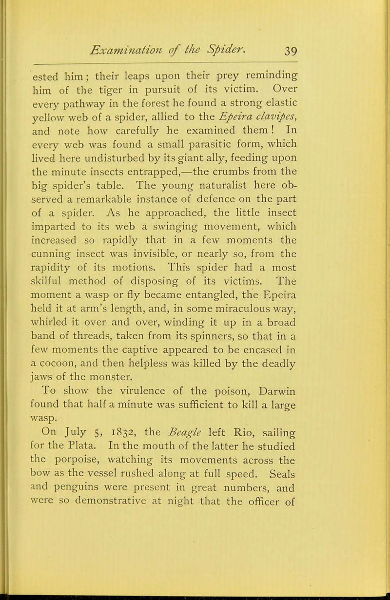 ested him; their leaps upon their prey reminding him of the tiger in pursuit of its victim. Over every pathway in the forest he found a strong elastic yellow web of a spider, allied to the Epeira clavipes, and note how carefully he examined them! In every web was found a small parasitic form, which lived here undisturbed by its giant ally, feeding upon the minute insects entrapped,—the crumbs from the big spider's table. The young naturalist here ob- served a remarkable instance of defence on the part of a spider. As he approached, the little insect imparted to its web a swinging movement, which increased so rapidly that in a few moments the cunning insect was invisible, or nearly so, from the rapidity of its motions. This spider had a most skilful method of disposing of its victims. The moment a wasp or fly became entangled, the Epeira held it at arm's length, and, in some miraculous way, whirled it over and over, winding it up in a broad band of threads, taken from its spinners, so that in a few moments the captive appeared to be encased in a cocoon, and then helpless was killed by the deadly jaws of the monster. To show the virulence of the poison, Darwin found that half a minute was sufificient to kill a large wasp. On July 5, 1832, the Beagle left Rio, sailing for the Plata. In the mouth of the latter he studied the porpoise, watching its movements across the bow as the vessel rushed along at full speed. Seals and penguins were present in great numbers, and were so demonstrative at night that the officer of