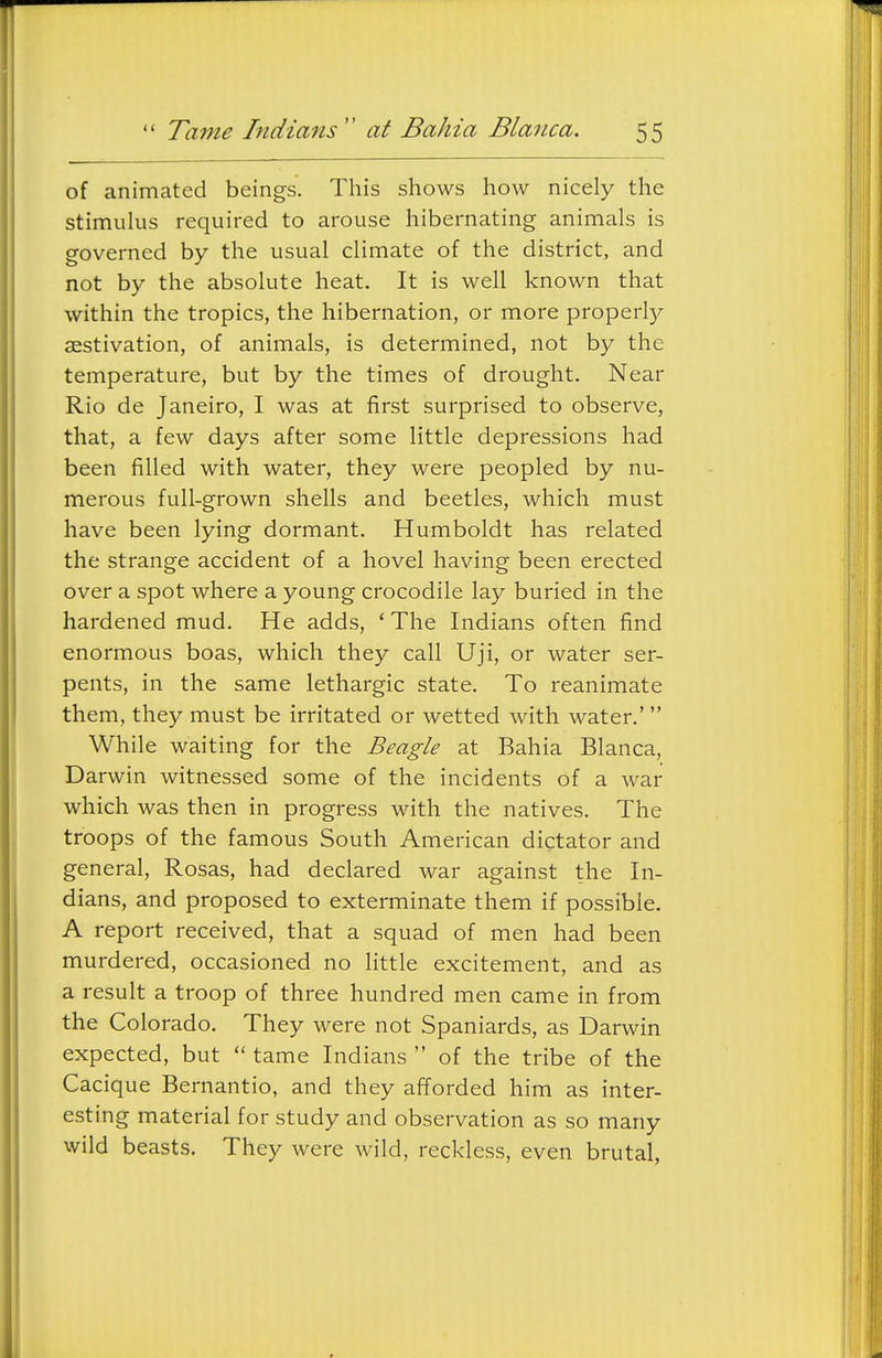 of animated beings. This shows how nicely the stimuhis required to arouse hibernating animals is governed by the usual climate of the district, and not by the absolute heat. It is well known that within the tropics, the hibernation, or more properl)^ aestivation, of animals, is determined, not by the temperature, but by the times of drought. Near Rio de Janeiro, I was at first surprised to observe, that, a few days after some little depressions had been filled with water, they were peopled by nu- merous full-grown shells and beetles, which must have been lying dormant. Humboldt has related the strange accident of a hovel having been erected over a spot where a young crocodile lay buried in the hardened mud. He adds, * The Indians often find enormous boas, which they call Uji, or water ser- pents, in the same lethargic state. To reanimate them, they must be irritated or wetted with water.'  While waiting for the Beagle at Bahia Blanca, Darwin witnessed some of the incidents of a war which was then in progress with the natives. The troops of the famous South American dictator and general, Rosas, had declared war against the In- dians, and proposed to exterminate them if possible. A report received, that a squad of men had been murdered, occasioned no little excitement, and as a result a troop of three hundred men came in from the Colorado. They were not Spaniards, as Darwin expected, but  tame Indians  of the tribe of the Cacique Bernantio, and they afforded him as inter- esting material for study and observation as so many wild beasts. They were wild, reckless, even brutal.