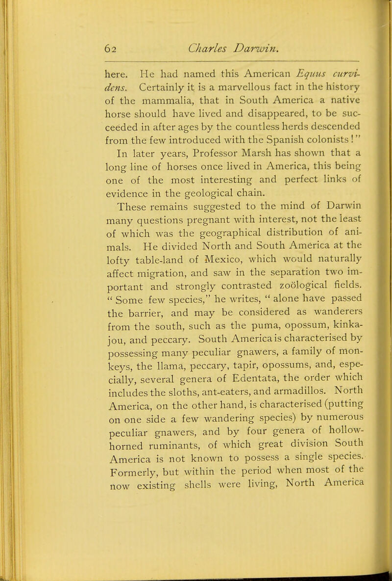 here. He had named this American Eqiius curvi- dcns. Certainly it is a marvellous fact in the history of the mammaUa, that in South America a native horse should have lived and disappeared, to be suc- ceeded in after ages by the countless herds descended from the few introduced with the Spanish colonists ! In later years, Professor Marsh has shown that a long line of horses once lived in America, this being one of the most interesting and perfect links of evidence in the geological chain. These remains suggested to the mind of Darwin many questions pregnant with interest, not the least of which was the geographical distribution of ani- mals. He divided North and South America at the lofty table-land of Mexico, which would naturally affect migration, and saw in the separation two im- portant and strongly contrasted zoological fields.  Some few species, he writes,  alone have passed the barrier, and may be considered as wanderers from the south, such as the puma, opossum, kinka- jou, and peccary. South America is characterised by possessing many peculiar gnawers, a family of mon- keys, the llama, peccary, tapir, opossums, and, espe- cially, several genera of Edentata, the order which includes the sloths, ant-eaters, and armadillos. North America, on the other hand, is characterised (putting on one side a few wandering species) by numerous peculiar gnawers, and by four genera of hollow- horned ruminants, of which great division South America is not known to possess a single species. Formerly, but within the period when most of the now existing shells were living. North America