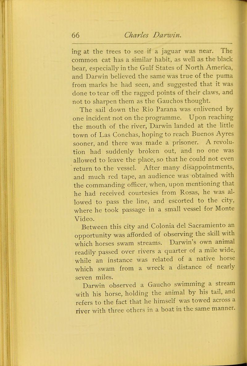 ing at the trees to see if a jaguar was near. The common cat has a similar habit, as well as the black bear, especially in the Gulf States of North America, and Darwin believed the same was true of the puma from marks he had seen, and suggested that it was done to tear off the ragged points of their claws, and not to sharpen them as the Gauclios thought. The sail down the Rio Parana was enlivened by one incident not on the programme. Upon reaching the mouth of the river, Darwin landed at the little town of Las Conchas, hoping to reach Buenos Ayres sooner, and there was made a prisoner. A revolu- tion had suddenly broken out, and no one was allowed to leave the place, so that he could not even 'return to the vessel. After many disappointments, and much red tape, an audience was obtained with the commanding officer, when, upon mentioning that he had received courtesies from Rosas, he was al- lowed to pass the line, and escorted to the city, where he took passage in a small vessel for Monte Video. Between this city and Colonia del Sacramiento an opportunity was afforded of observing the skill with which horses swam streams. Darwin's own animal readily passed over rivers a quarter of a mile wide, while an instance was related of a native horse which swam from a wreck a distance of nearly seven miles. Darwin observed a Gaucho swimming a stream with his horse, holding the animal by his tail, and refers to the fact that he himself was towed across a river with three others in a boat in the same manner.