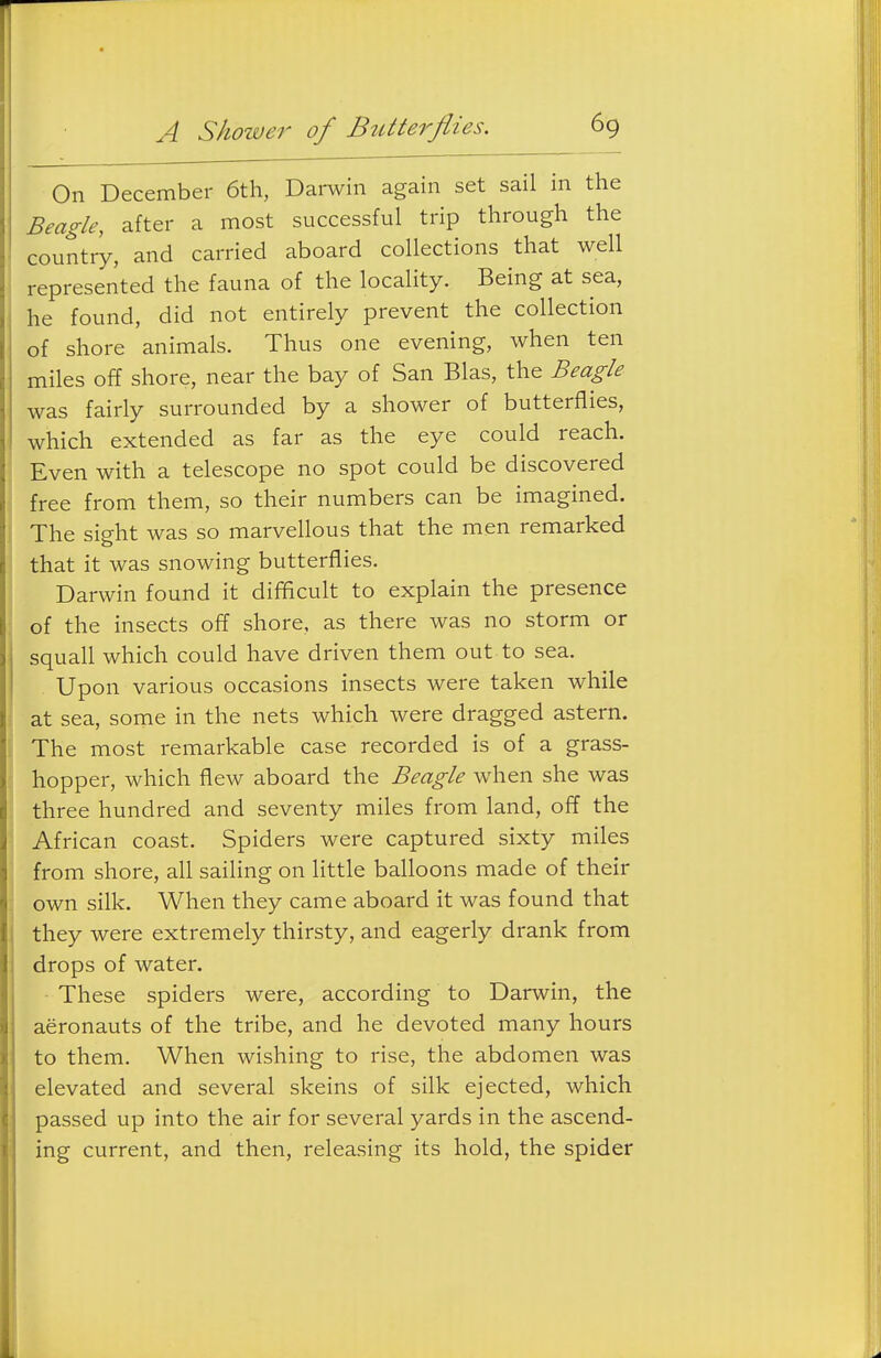 On December 6th, Dai-win again set sail in the Beagle, after a most successful trip through the country, and carried aboard collections that well represented the fauna of the locality. Being at sea, he found, did not entirely prevent the collection of shore animals. Thus one evening, when ten miles off shore, near the bay of San Bias, the Beagle was fairly surrounded by a shower of butterflies, which extended as far as the eye could reach. Even with a telescope no spot could be discovered free from them, so their numbers can be imagined. The sight was so marvellous that the men remarked that it was snowing butterflies. Darwin found it difficult to explain the presence of the insects off shore, as there was no storm or squall which could have driven them out to sea. Upon various occasions insects were taken while at sea, some in the nets which were dragged astern. The most remarkable case recorded is of a grass- hopper, which flew aboard the Beagle when she was three hundred and seventy miles from land, off the \ African coast. Spiders were captured sixty miles ': from shore, all sailing on Httle balloons made of their I own silk. When they came aboard it was found that they were extremely thirsty, and eagerly drank from drops of water. These spiders were, according to Darwin, the aeronauts of the tribe, and he devoted many hours to them. When wishing to rise, the abdomen was elevated and several skeins of silk ejected, which passed up into the air for several yards in the ascend- ing current, and then, releasing its hold, the spider