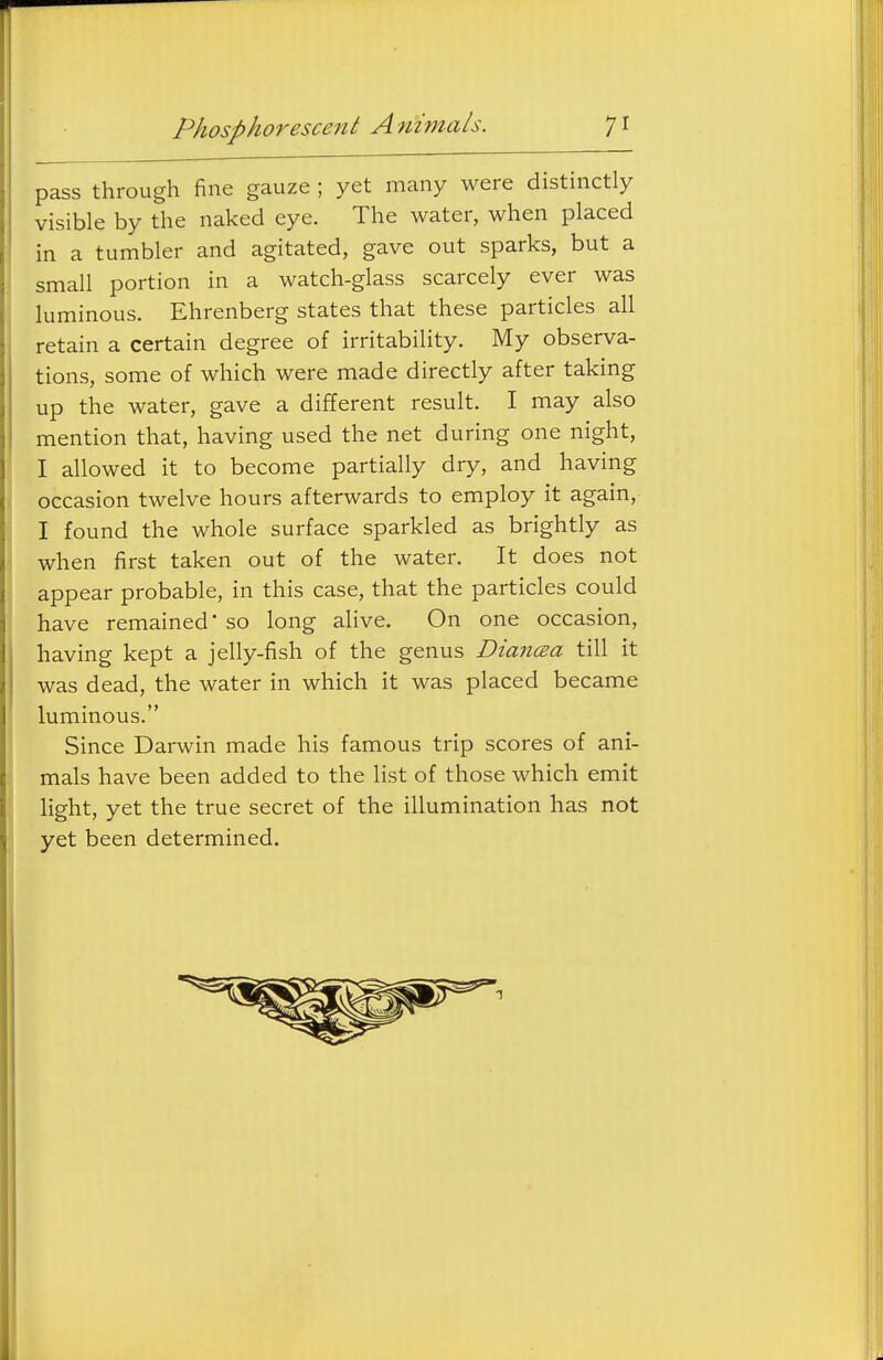 pass through fine gauze ; yet many were distinctly visible by the naked eye. The water, when placed in a tumbler and agitated, gave out sparks, but a small portion in a watch-glass scarcely ever was luminous. Ehrenberg states that these particles all retain a certain degree of irritability. My observa- tions, some of which were made directly after taking up the water, gave a different result. I may also mention that, having used the net during one night, I allowed it to become partially dry, and having occasion twelve hours afterwards to employ it again, I found the whole surface sparkled as brightly as when first taken out of the water. It does not appear probable, in this case, that the particles could have remained so long alive. On one occasion, having kept a jelly-fish of the genus Diancza till it was dead, the water in which it was placed became luminous. Since Darwin made his famous trip scores of ani- mals have been added to the list of those which emit light, yet the true secret of the illumination has not yet been determined.