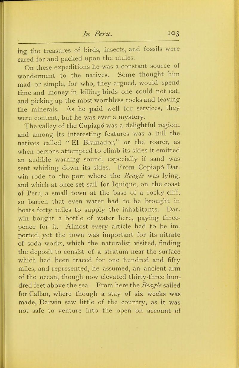 ing the treasures of birds, insects, and fossils were cared for and packed upon the mules. On these expeditions he was a constant source of wonderment to the natives. Some thought him mad or simple, for who, they argued, would spend time and money in killing birds one could not eat, and picking up the most worthless rocks and leaving the minerals. As he paid well for services, they were content, but he was ever a mystery. The valley of the Copiap6 was a delightful region, and among its interesting features was a hill the natives called El Bramador, or the roarer, as when persons attempted to climb its sides it emitted an audible warning sound, especially if sand was sent whirling down its sides. From Copiap6 Dar- win rode to the port where the Beagle was lying, and which at once set sail for Iquique, on the coast of Peru, a small town at the base of a rocky cliff, so barren that even water had to be brought in boats forty miles to supply the inhabitants. Dar- win bought a bottle of water here, paying three- pence for it. Almost every article had to be im- ported, yet the town was important for its nitrate of soda works, which the naturalist visited, finding the deposit to consist of a stratum near the surface which had been traced for one hundred and fifty miles, and represented, he assumed, an ancient arm of the ocean, though now elevated thirty-three hun- dred feet above the sea. From here the Beagle sailed for Callao, where though a stay of six weeks was made, Darwin saw little of the country, as it was not safe to venture into the open on account of
