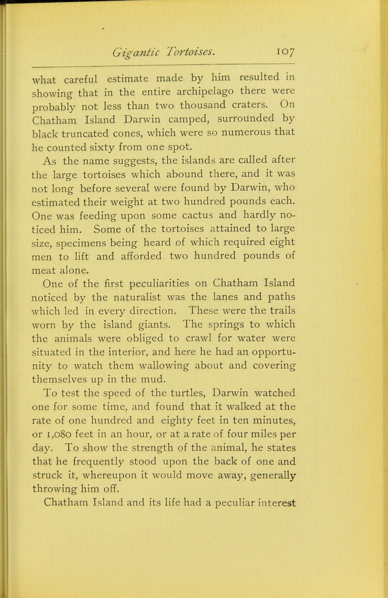 what careful estimate made by him resulted in showing that in the entire archipelago there were probably not less than two thousand craters. On Chatham Island Darwin camped, surrounded by black truncated cones, which were so numerous that he counted sixty from one spot. As the name suggests, the islands are called after the large tortoises which abound there, and it was not long before several were found by Darwin, who estimated their weight at two hundred pounds each. One was feeding upon some cactus and hardly no- ticed him. Some of the tortoises attained to large size, specimens being heard of which required eight men to hft and afforded two hundred pounds of meat alone. One of the first peculiarities on Chatham Island noticed by the naturalist was the lanes and paths which led in every direction. These were the trails worn by the island giants. The springs to which the animals were obliged to crawl for water were situated in the interior, and here he had an opportu- nity to watch them wallowing about and covering themselves up in the mud. To test the speed of the turtles, Darwin watched one for some time, and found that it walked at the rate of one hundred and eighty feet in ten minutes, or 1,080 feet in an hour, or at a rate of four miles per day. To show the strength of the animal, he states that he frequently stood upon the back of one and struck it, whereupon it would move away, generally throwing him off. Chatham Island and its life had a peculiar interest