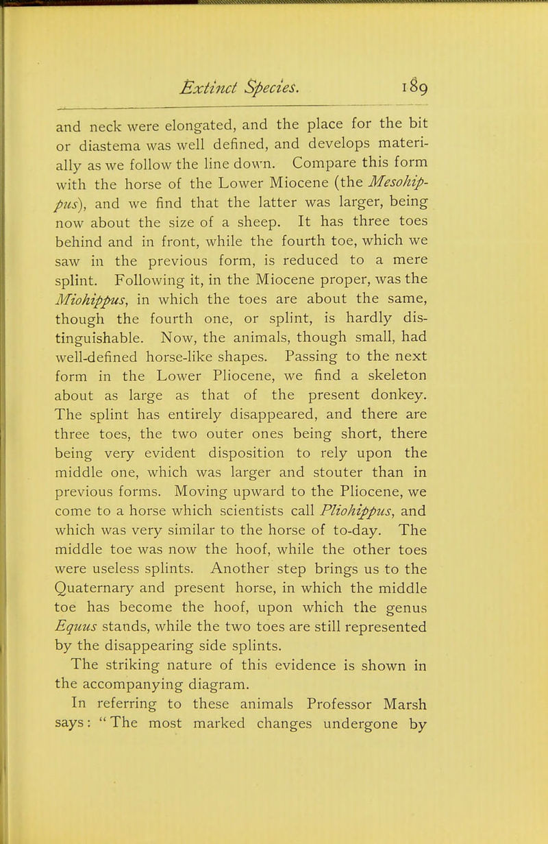Extinct species. and neck were elongated, and the place for the bit or diastema was well defined, and develops materi- ally as we follow the line down. Compare this form with the horse of the Lower Miocene (the Mesohip- pus), and we find that the latter was larger, being now about the size of a sheep. It has three toes behind and in front, while the fourth toe, which we saw in the previous form, is reduced to a mere splint. Following it, in the Miocene proper, was the Miohippus, in which the toes are about the same, though the fourth one, or splint, is hardly dis- tinguishable. Now, the animals, though small, had well-defined horse-like shapes. Passing to the next form in the Lower Pliocene, we find a skeleton about as large as that of the present donkey. The splint has entirely disappeared, and there are three toes, the two outer ones being short, there being very evident disposition to rely upon the middle one, which was larger and stouter than in previous forms. Moving upward to the Pliocene, we come to a horse which scientists call Pliohippus, and which was very similar to the horse of to-day. The middle toe was now the hoof, while the other toes were useless splints. Another step brings us to the Quaternary and present horse, in which the middle toe has become the hoof, upon which the genus Equus stands, while the two toes are still represented by the disappearing side splints. The striking nature of this evidence is shown in the accompanying diagram. In referring to these animals Professor Marsh says:  The most marked changes undergone by
