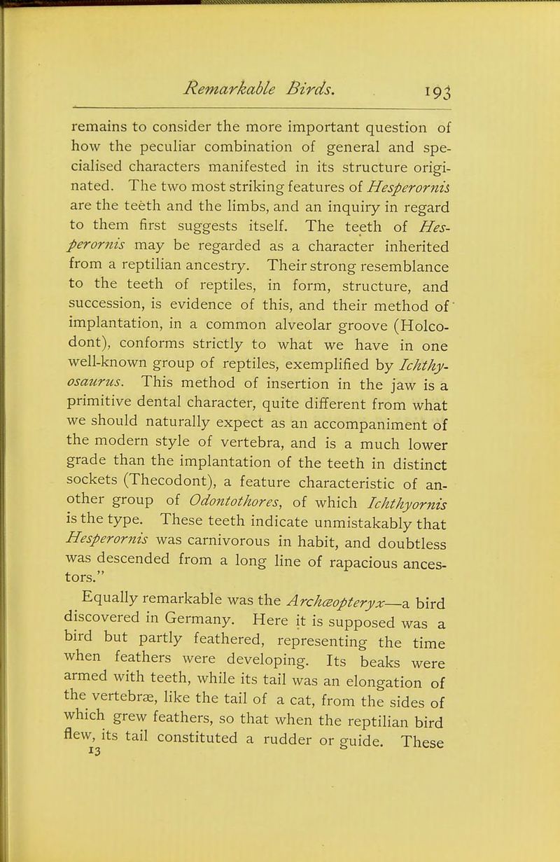 Remarkable Birds. remains to consider the more important question of how the peculiar combination of general and spe- cialised characters manifested in its structure origi- nated. The two most striking features of Hesperornh are the teeth and the limbs, and an inquiry in regard to them first suggests itself. The teeth of Hes- perornis may be regarded as a character inherited from a reptilian ancestry. Their strong resemblance to the teeth of reptiles, in form, structure, and succession, is evidence of this, and their method of' implantation, in a common alveolar groove (Holco- dont), conforms strictly to what we have in one well-known group of reptiles, exemplified by Ichthy- osaurus. This method of insertion in the jaw is a primitive dental character, quite different from what we should naturally expect as an accompaniment of the modern style of vertebra, and is a much lower grade than the implantation of the teeth in distinct sockets (Thecodont), a feature characteristic of an- other group of Odontothores, of which Ichthyornis is the type. These teeth indicate unmistakably that Hesperornis was carnivorous in habit, and doubtless was descended from a long line of rapacious ances- tors. Equally remarkable was the Archceopteryx—z. bird discovered in Germany. Here it is supposed was a bird but partly feathered, representing the time when feathers were developing. Its beaks were armed with teeth, while its tail was an elongation of the vertebras, like the tail of a cat, from the sides of which grew feathers, so that when the reptilian bird flew, its tail constituted a rudder or guide. These