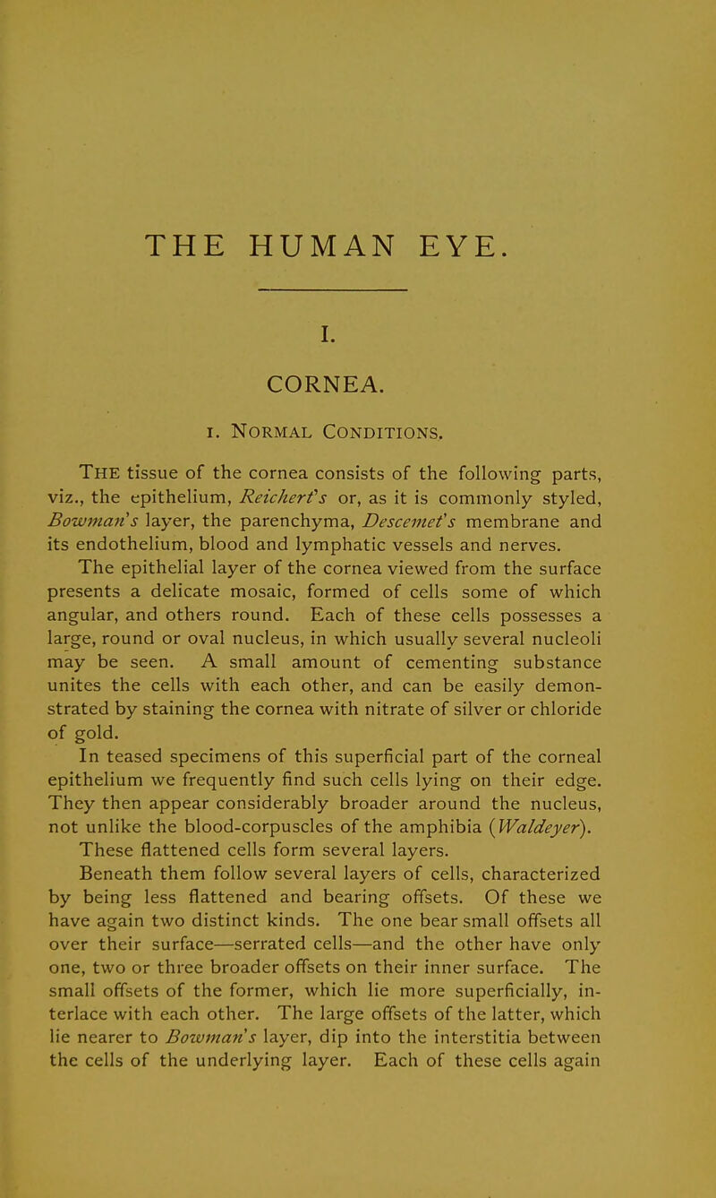 THE HUMAN EYE. I. CORNEA. i. Normal Conditions. The tissue of the cornea consists of the following parts, viz., the epithelium, Reicherfs or, as it is commonly styled, Bowman's layer, the parenchyma, Descemefs membrane and its endothelium, blood and lymphatic vessels and nerves. The epithelial layer of the cornea viewed from the surface presents a delicate mosaic, formed of cells some of which angular, and others round. Each of these cells possesses a large, round or oval nucleus, in which usually several nucleoli may be seen. A small amount of cementing substance unites the cells with each other, and can be easily demon- strated by staining the cornea with nitrate of silver or chloride of gold. In teased specimens of this superficial part of the corneal epithelium we frequently find such cells lying on their edge. They then appear considerably broader around the nucleus, not unlike the blood-corpuscles of the amphibia (Waldeyer). These flattened cells form several layers. Beneath them follow several layers of cells, characterized by being less flattened and bearing offsets. Of these we have again two distinct kinds. The one bear small offsets all over their surface—serrated cells—and the other have only one, two or three broader offsets on their inner surface. The small offsets of the former, which lie more superficially, in- terlace with each other. The large offsets of the latter, which lie nearer to Bowman s layer, dip into the interstitia between the cells of the underlying layer. Each of these cells again