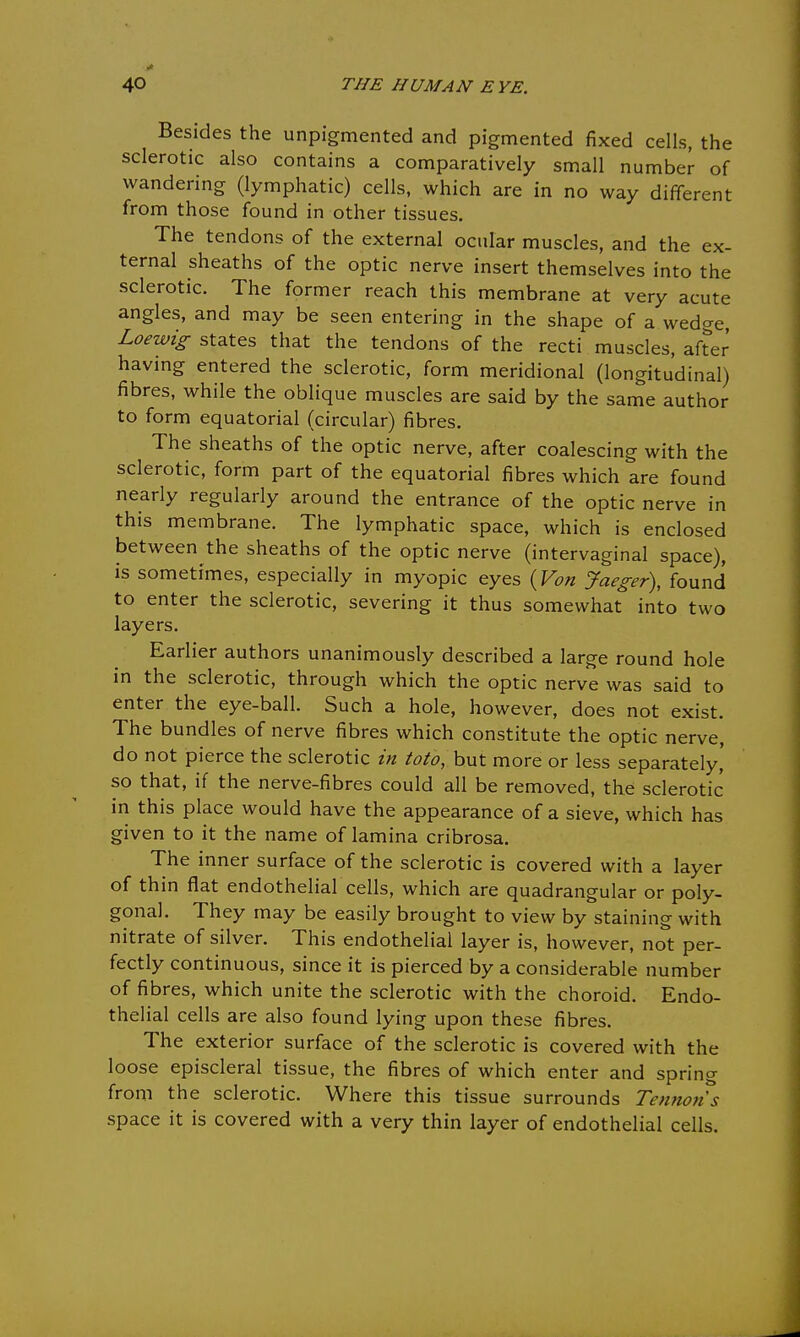 Besides the unpigmented and pigmented fixed cells, the sclerotic also contains a comparatively small number of wandering (lymphatic) cells, which are in no way different from those found in other tissues. The tendons of the external ocular muscles, and the ex- ternal sheaths of the optic nerve insert themselves into the sclerotic. The former reach this membrane at very acute angles, and may be seen entering in the shape of a wedge, Loewig states that the tendons of the recti muscles, after having entered the sclerotic, form meridional (longitudinal) fibres, while the oblique muscles are said by the same author to form equatorial (circular) fibres. The sheaths of the optic nerve, after coalescing with the sclerotic, form part of the equatorial fibres which are found nearly regularly around the entrance of the optic nerve in this membrane. The lymphatic space, which is enclosed between the sheaths of the optic nerve (intervaginal space), is sometimes, especially in myopic eyes {Von Jaeger), found to enter the sclerotic, severing it thus somewhat into two layers. Earlier authors unanimously described a large round hole in the sclerotic, through which the optic nerve was said to enter the eye-ball. Such a hole, however, does not exist. The bundles of nerve fibres which constitute the optic nerve, do not pierce the sclerotic in toto, but more or less separately' so that, if the nerve-fibres could all be removed, the sclerotic in this place would have the appearance of a sieve, which has given to it the name of lamina cribrosa. The inner surface of the sclerotic is covered with a layer of thin flat endothelial cells, which are quadrangular or poly- gonal. They may be easily brought to view by staining with nitrate of silver. This endothelial layer is, however, not per- fectly continuous, since it is pierced by a considerable number of fibres, which unite the sclerotic with the choroid. Endo- thelial cells are also found lying upon these fibres. The exterior surface of the sclerotic is covered with the loose episcleral tissue, the fibres of which enter and spring from the sclerotic. Where this tissue surrounds Tennoris space it is covered with a very thin layer of endothelial cells.